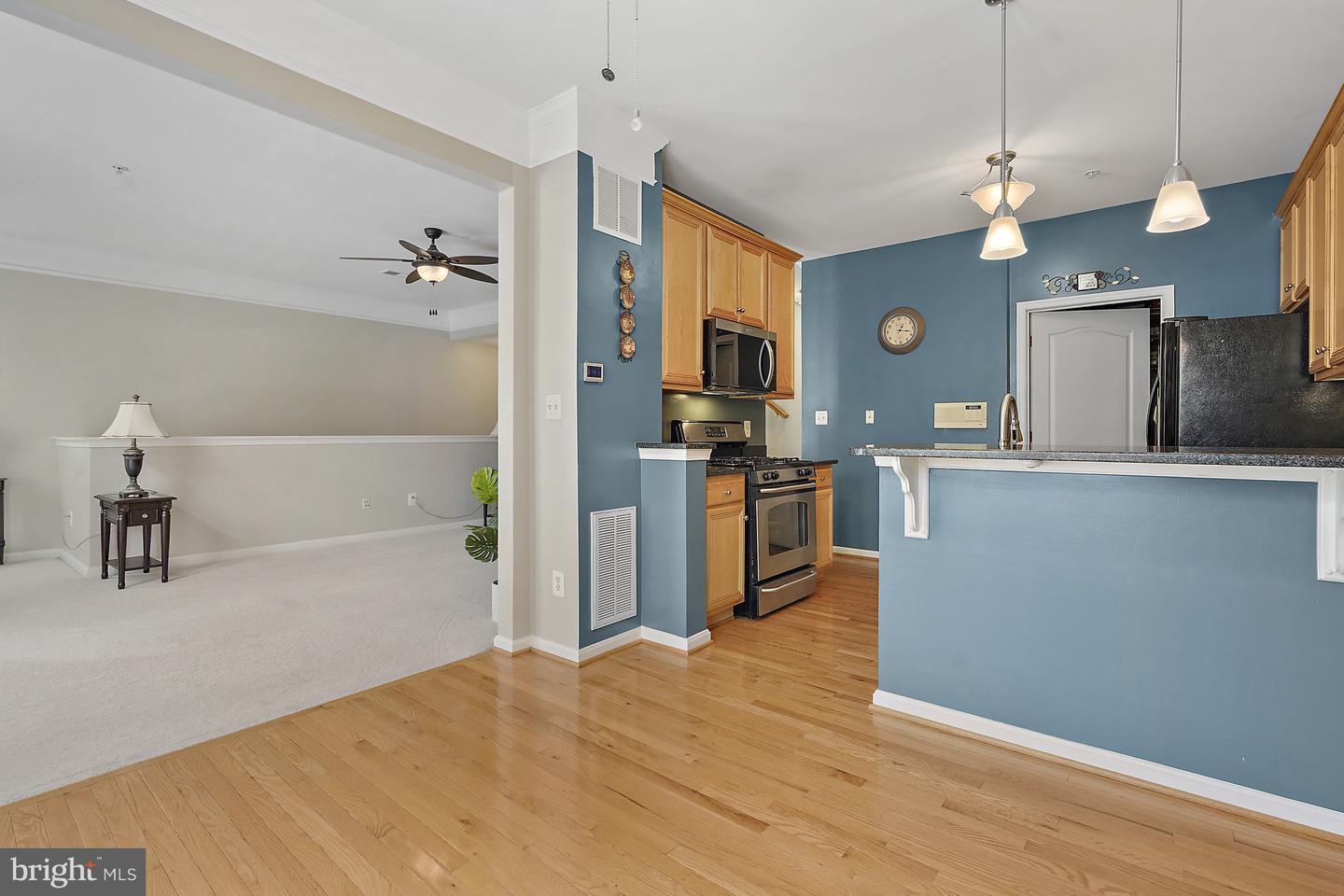 41973 BLUE FLAG TER, ALDIE, Virginia 20105, 3 Bedrooms Bedrooms, ,3 BathroomsBathrooms,Residential,For sale,41973 BLUE FLAG TER,VALO2109572 MLS # VALO2109572