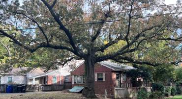 205 S PERSHING DR, ARLINGTON, Virginia 22204, 3 Bedrooms Bedrooms, ,1 BathroomBathrooms,Residential,For sale,205 S PERSHING DR,VAAR2065364 MLS # VAAR2065364