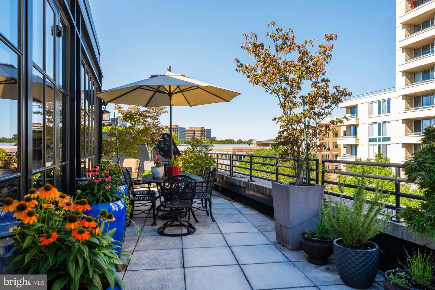 1600 CLARENDON BLVD #W407, ARLINGTON, Virginia 22209, 1 Bedroom Bedrooms, ,2 BathroomsBathrooms,Residential,For sale,1600 CLARENDON BLVD #W407,VAAR2064990 MLS # VAAR2064990 1600 CLARENDON BLVD #W407, ARLINGTON, Virginia 22209, 1 Bedroom Bedrooms, ,2 BathroomsBathrooms,Residential,For sale,1600 CLARENDON BLVD #W407,VAAR2064990 MLS # VAAR2064990
