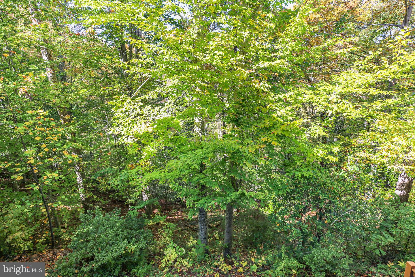 15469 PORT WASHINGTON CT, DUMFRIES, Virginia 22025, 4 Bedrooms Bedrooms, 8 Rooms Rooms,3 BathroomsBathrooms,Residential,For sale,15469 PORT WASHINGTON CT,VAPW2106530 MLS # VAPW2106530 15469 PORT WASHINGTON CT, DUMFRIES, Virginia 22025, 4 Bedrooms Bedrooms, 8 Rooms Rooms,3 BathroomsBathrooms,Residential,For sale,15469 PORT WASHINGTON CT,VAPW2106530 MLS # VAPW2106530