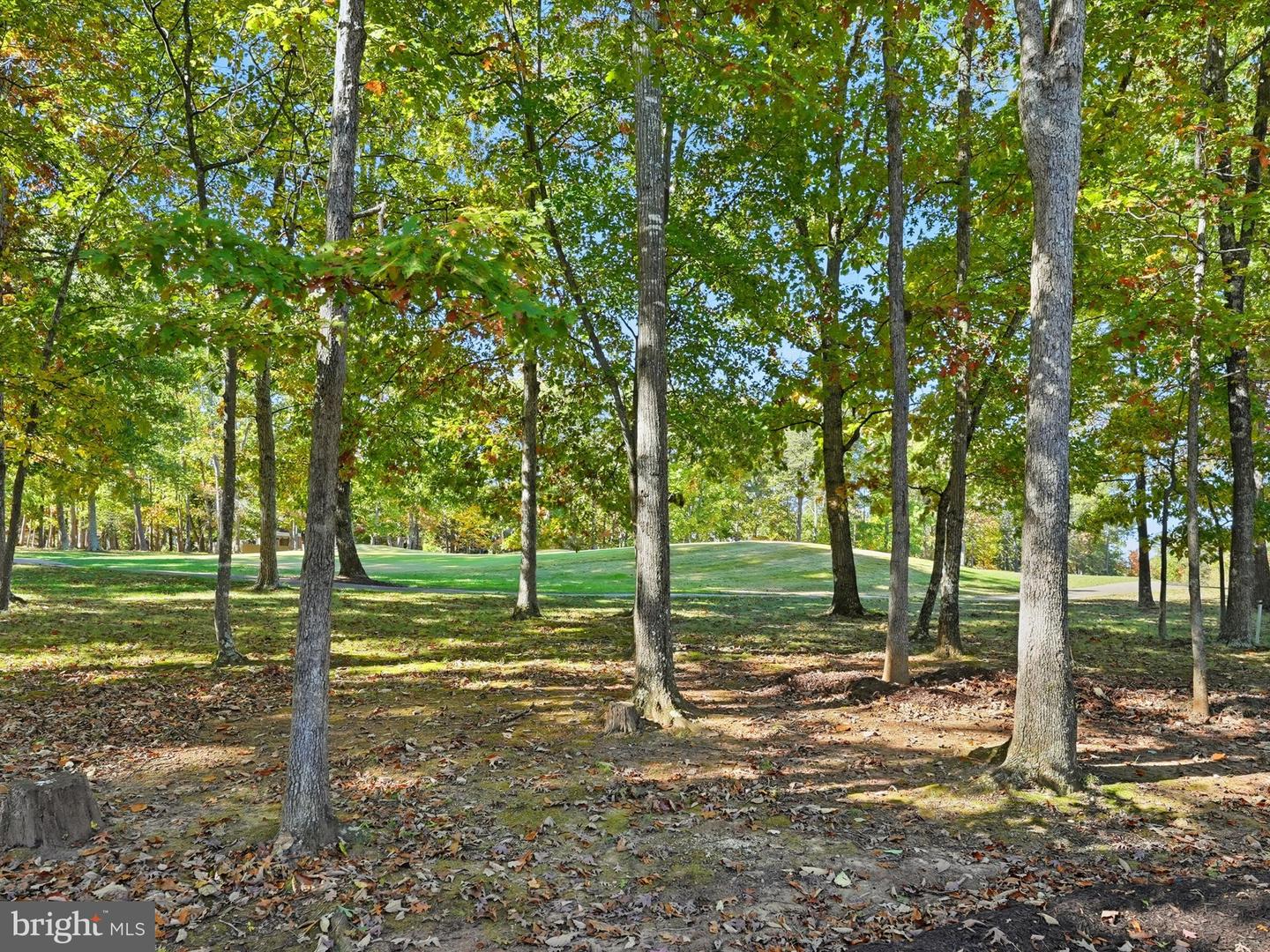 10816 CHATHAM RIDGE WAY, SPOTSYLVANIA, Virginia 22551, 3 Bedrooms Bedrooms, ,2 BathroomsBathrooms,Residential,For sale,10816 CHATHAM RIDGE WAY,VASP2037120 MLS # VASP2037120 10816 CHATHAM RIDGE WAY, SPOTSYLVANIA, Virginia 22551, 3 Bedrooms Bedrooms, ,2 BathroomsBathrooms,Residential,For sale,10816 CHATHAM RIDGE WAY,VASP2037120 MLS # VASP2037120