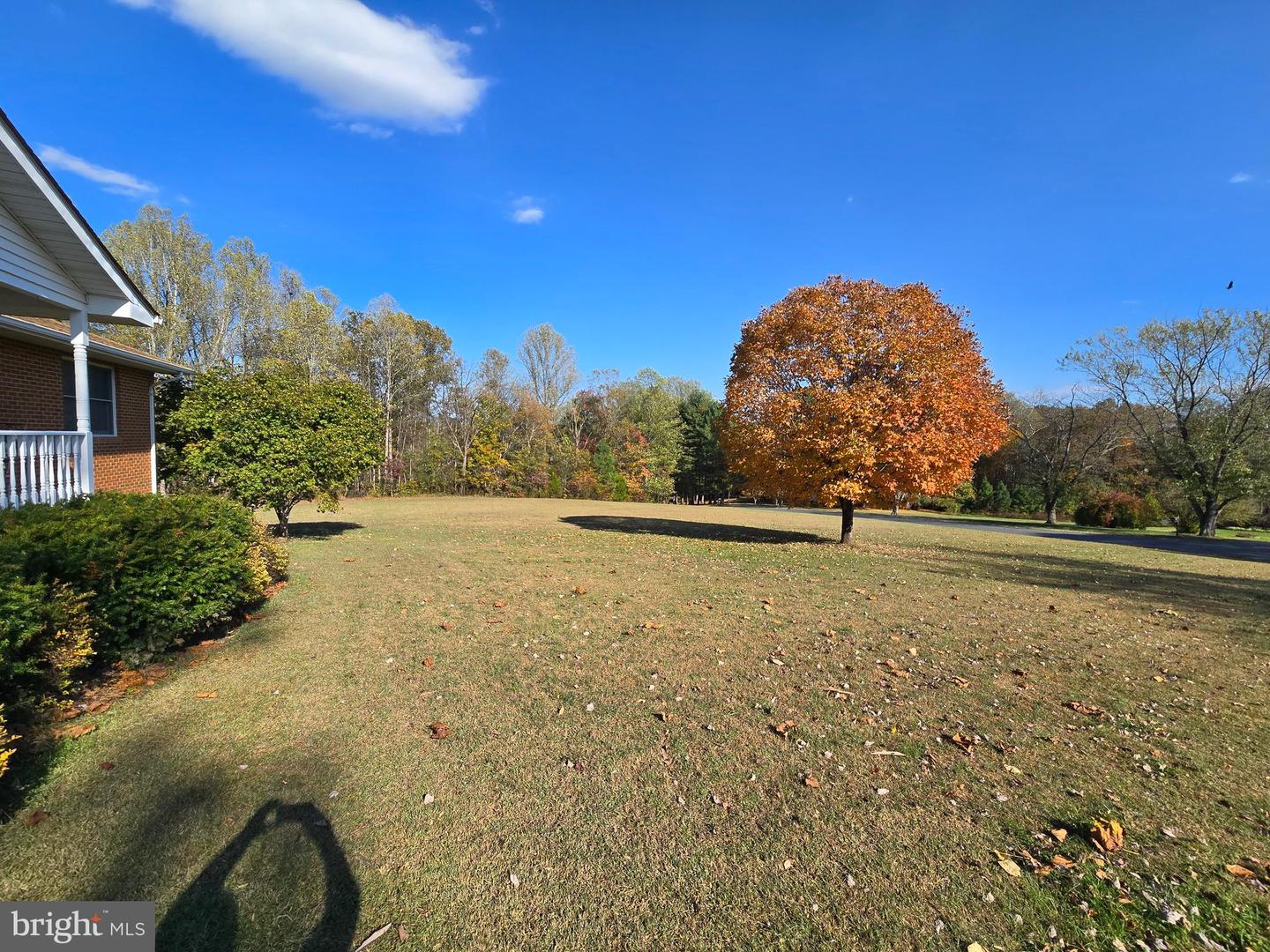 241 HAPPY HILLS, MADISON, Virginia 22727, 3 Bedrooms Bedrooms, ,3 BathroomsBathrooms,Residential,For sale,241 HAPPY HILLS,VAMA2002512 MLS # VAMA2002512 241 HAPPY HILLS, MADISON, Virginia 22727, 3 Bedrooms Bedrooms, ,3 BathroomsBathrooms,Residential,For sale,241 HAPPY HILLS,VAMA2002512 MLS # VAMA2002512
