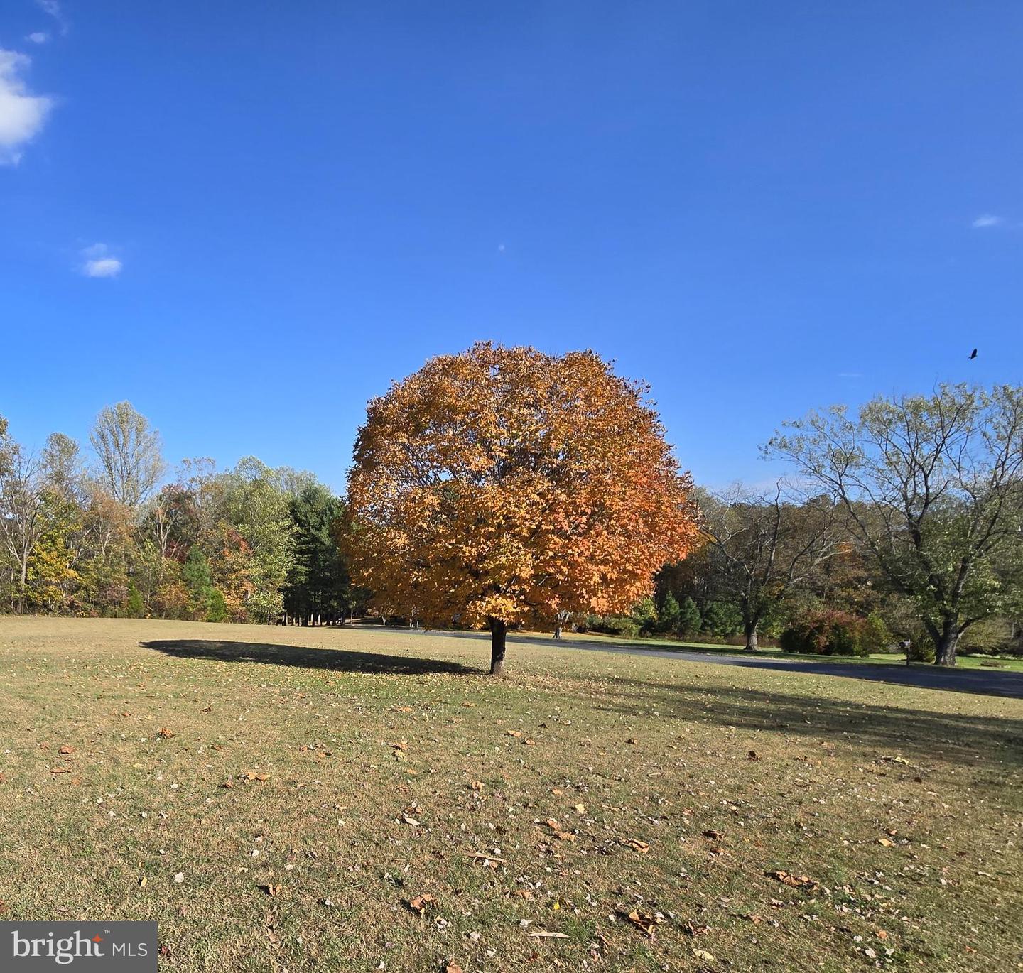 241 HAPPY HILLS, MADISON, Virginia 22727, 3 Bedrooms Bedrooms, ,3 BathroomsBathrooms,Residential,For sale,241 HAPPY HILLS,VAMA2002512 MLS # VAMA2002512 241 HAPPY HILLS, MADISON, Virginia 22727, 3 Bedrooms Bedrooms, ,3 BathroomsBathrooms,Residential,For sale,241 HAPPY HILLS,VAMA2002512 MLS # VAMA2002512