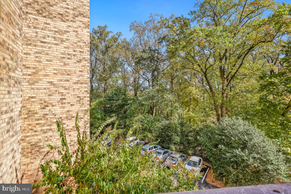 5901 MOUNT EAGLE DR #216, ALEXANDRIA, Virginia 22303, 2 Bedrooms Bedrooms, 8 Rooms Rooms,2 BathroomsBathrooms,Residential,For sale,5901 MOUNT EAGLE DR #216,VAFX2276310 MLS # VAFX2276310 5901 MOUNT EAGLE DR #216, ALEXANDRIA, Virginia 22303, 2 Bedrooms Bedrooms, 8 Rooms Rooms,2 BathroomsBathrooms,Residential,For sale,5901 MOUNT EAGLE DR #216,VAFX2276310 MLS # VAFX2276310