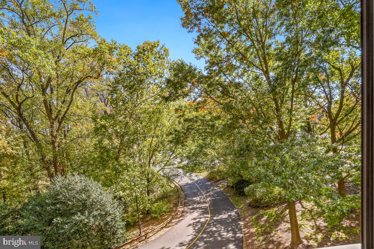5901 MOUNT EAGLE DR #216, ALEXANDRIA, Virginia 22303, 2 Bedrooms Bedrooms, 8 Rooms Rooms,2 BathroomsBathrooms,Residential,For sale,5901 MOUNT EAGLE DR #216,VAFX2276310 MLS # VAFX2276310 5901 MOUNT EAGLE DR #216, ALEXANDRIA, Virginia 22303, 2 Bedrooms Bedrooms, 8 Rooms Rooms,2 BathroomsBathrooms,Residential,For sale,5901 MOUNT EAGLE DR #216,VAFX2276310 MLS # VAFX2276310