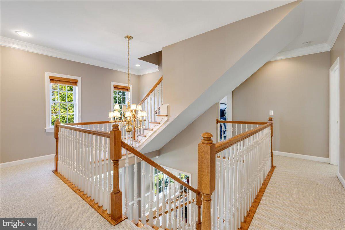 13610 NEWTONMORE PL, BRISTOW, Virginia 20136, 5 Bedrooms Bedrooms, ,5 BathroomsBathrooms,Residential,For sale,13610 NEWTONMORE PL,VAPW2106614 MLS # VAPW2106614 13610 NEWTONMORE PL, BRISTOW, Virginia 20136, 5 Bedrooms Bedrooms, ,5 BathroomsBathrooms,Residential,For sale,13610 NEWTONMORE PL,VAPW2106614 MLS # VAPW2106614