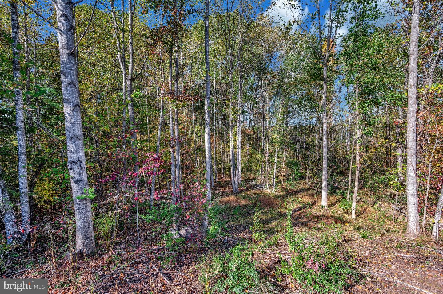 6709 MARYE RD, SPOTSYLVANIA, Virginia 22551, 3 Bedrooms Bedrooms, ,3 BathroomsBathrooms,Residential,For sale,6709 MARYE RD,VASP2037196 MLS # VASP2037196