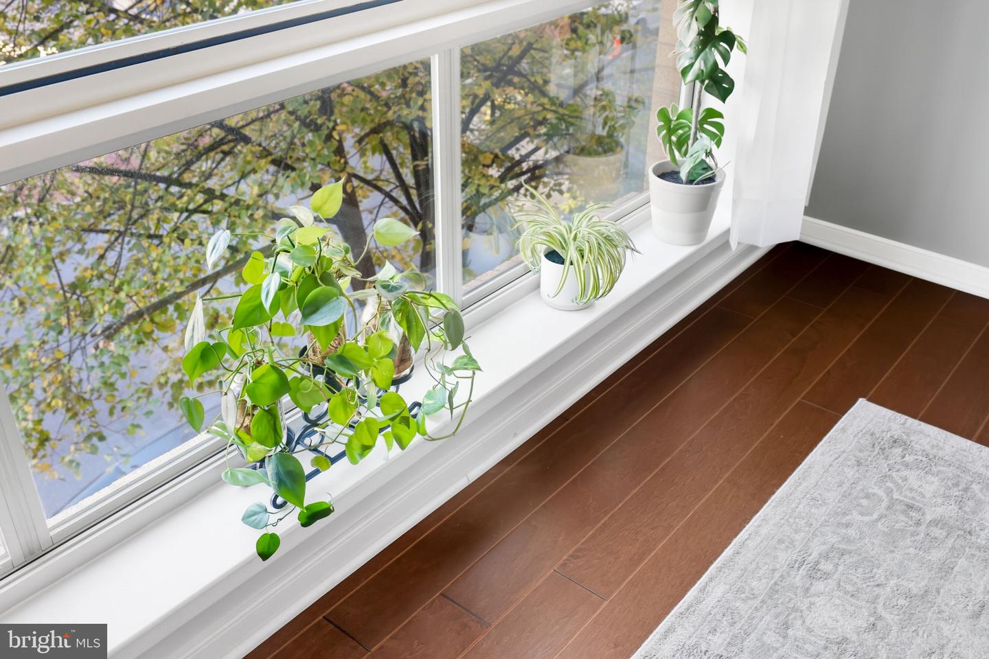 2200 N WESTMORELAND ST #202, ARLINGTON, Virginia 22213, 1 Bedroom Bedrooms, ,1 BathroomBathrooms,Residential,For sale,2200 N WESTMORELAND ST #202,VAAR2065342 MLS # VAAR2065342 2200 N WESTMORELAND ST #202, ARLINGTON, Virginia 22213, 1 Bedroom Bedrooms, ,1 BathroomBathrooms,Residential,For sale,2200 N WESTMORELAND ST #202,VAAR2065342 MLS # VAAR2065342
