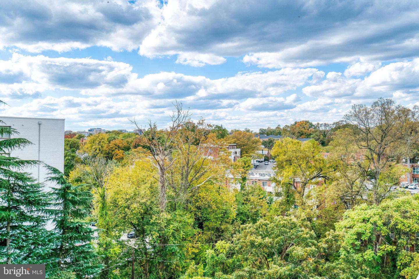 2030 N ADAMS ST #1112, ARLINGTON, Virginia 22201, ,1 BathroomBathrooms,Residential,For sale,2030 N ADAMS ST #1112,VAAR2065416 MLS # VAAR2065416 2030 N ADAMS ST #1112, ARLINGTON, Virginia 22201, ,1 BathroomBathrooms,Residential,For sale,2030 N ADAMS ST #1112,VAAR2065416 MLS # VAAR2065416