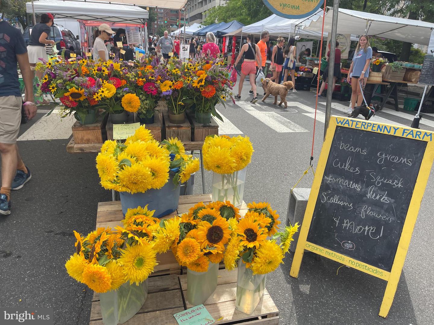 1404 N HERNDON ST, ARLINGTON, Virginia 22201, 4 Bedrooms Bedrooms, ,4 BathroomsBathrooms,Residential,For sale,1404 N HERNDON ST,VAAR2063294 MLS # VAAR2063294