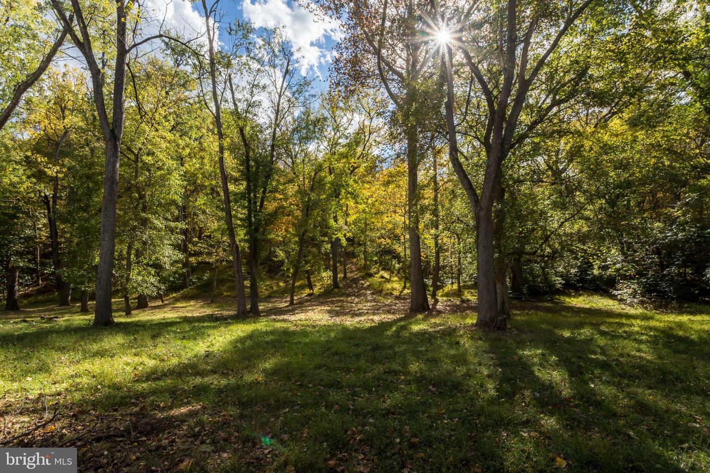 185 BLUE BIRD LN, BOYCE, Virginia 22620, 3 Bedrooms Bedrooms, ,2 BathroomsBathrooms,Residential,For sale,185 BLUE BIRD LN,VACL2006136 MLS # VACL2006136 185 BLUE BIRD LN, BOYCE, Virginia 22620, 3 Bedrooms Bedrooms, ,2 BathroomsBathrooms,Residential,For sale,185 BLUE BIRD LN,VACL2006136 MLS # VACL2006136