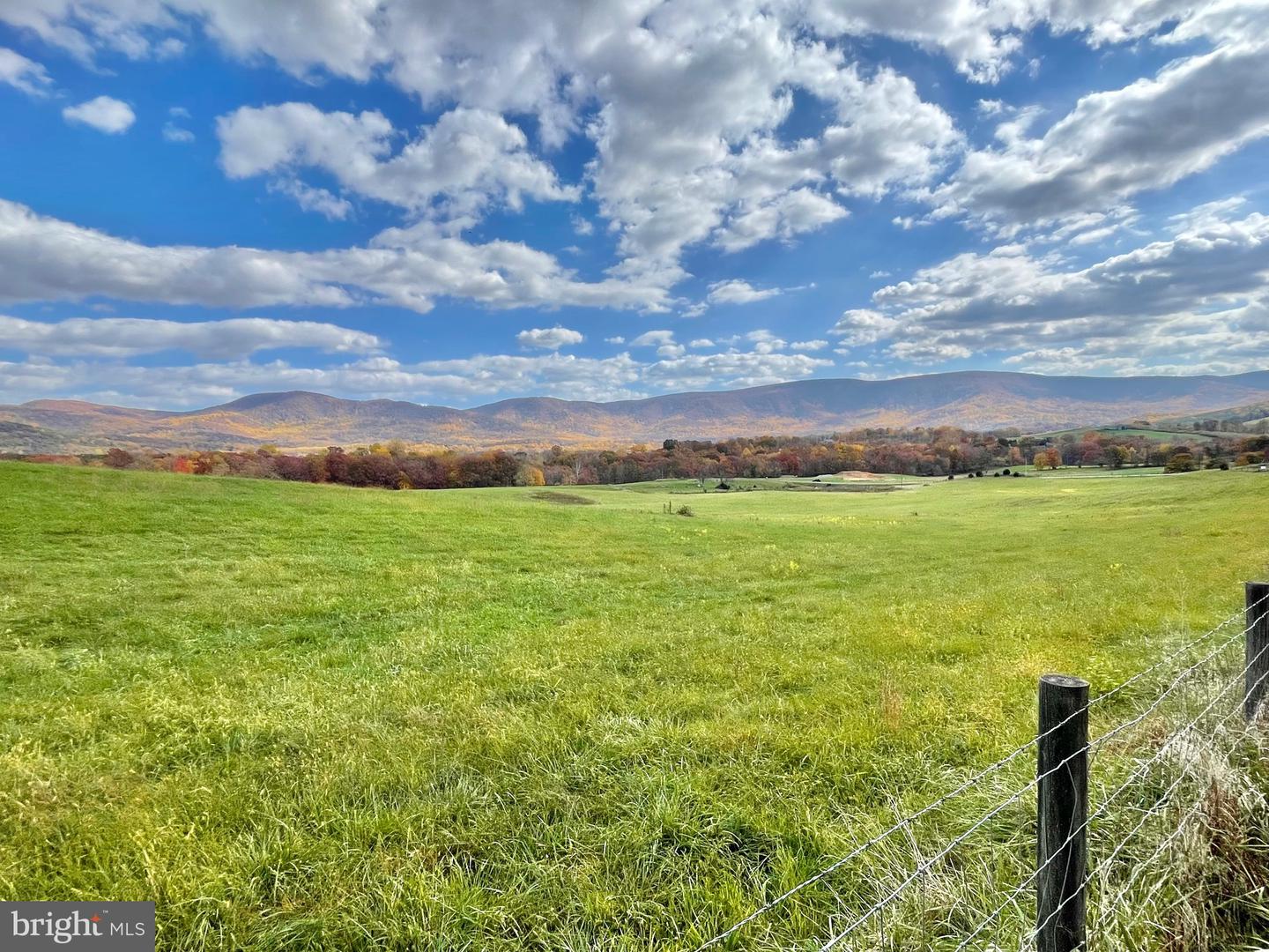 LOT 8 BUCK MOUNTAIN RD, BENTONVILLE, Virginia 22610, ,Land,For sale,LOT 8 BUCK MOUNTAIN RD,VAWR2012654 MLS # VAWR2012654 LOT 8 BUCK MOUNTAIN RD, BENTONVILLE, Virginia 22610, ,Land,For sale,LOT 8 BUCK MOUNTAIN RD,VAWR2012654 MLS # VAWR2012654