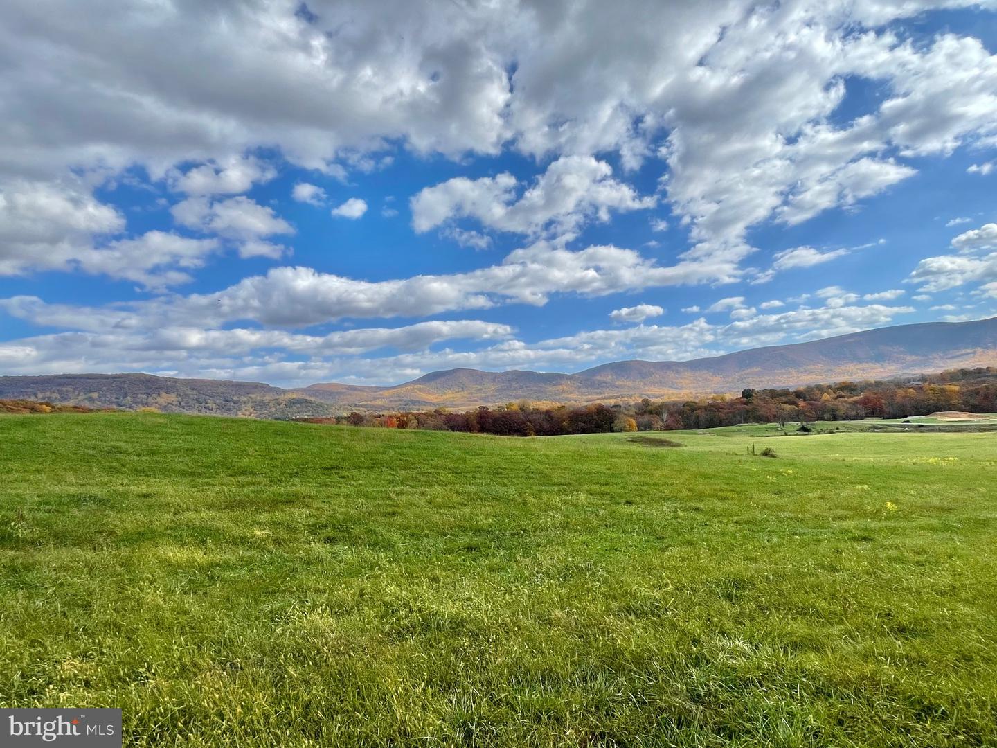 LOT 8 BUCK MOUNTAIN RD, BENTONVILLE, Virginia 22610, ,Land,For sale,LOT 8 BUCK MOUNTAIN RD,VAWR2012654 MLS # VAWR2012654 LOT 8 BUCK MOUNTAIN RD, BENTONVILLE, Virginia 22610, ,Land,For sale,LOT 8 BUCK MOUNTAIN RD,VAWR2012654 MLS # VAWR2012654