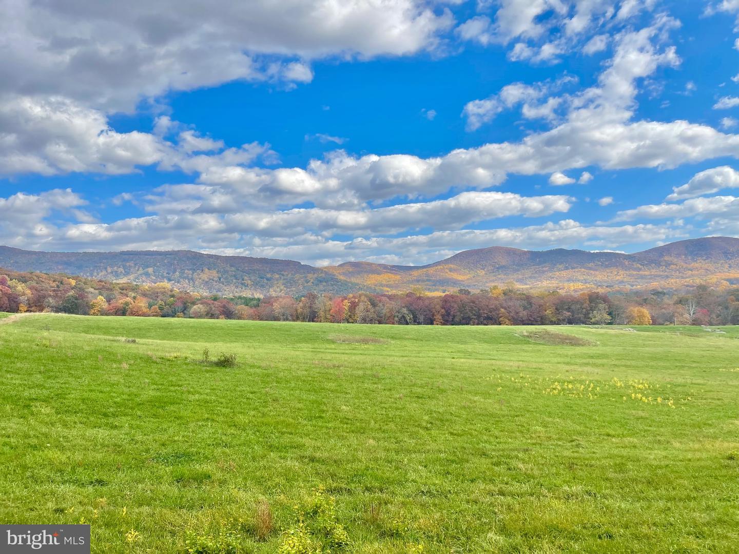 LOT 8 BUCK MOUNTAIN RD, BENTONVILLE, Virginia 22610, ,Land,For sale,LOT 8 BUCK MOUNTAIN RD,VAWR2012654 MLS # VAWR2012654 LOT 8 BUCK MOUNTAIN RD, BENTONVILLE, Virginia 22610, ,Land,For sale,LOT 8 BUCK MOUNTAIN RD,VAWR2012654 MLS # VAWR2012654