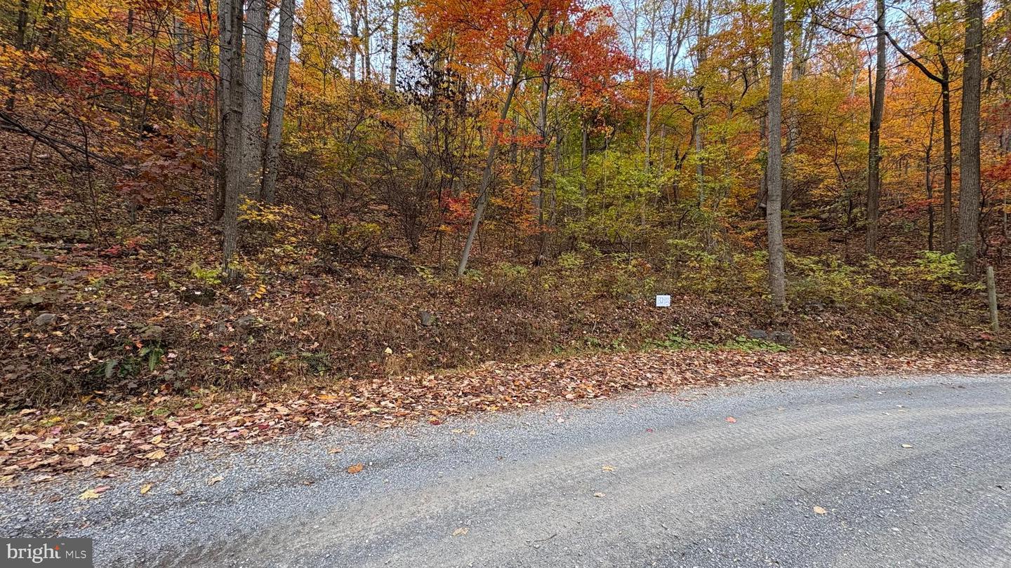 LOT 132 TOMAHAWK TRL, WINCHESTER, Virginia 22602, ,Land,For sale,LOT 132 TOMAHAWK TRL,VAFV2037696 MLS # VAFV2037696