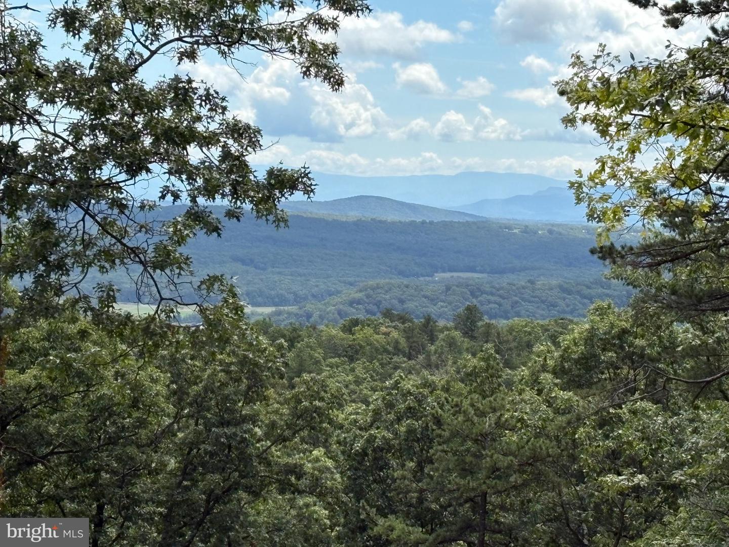 LOT 133 TOMAHAWK TRL, WINCHESTER, Virginia 22602, ,Land,For sale,LOT 133 TOMAHAWK TRL,VAFV2037698 MLS # VAFV2037698 LOT 133 TOMAHAWK TRL, WINCHESTER, Virginia 22602, ,Land,For sale,LOT 133 TOMAHAWK TRL,VAFV2037698 MLS # VAFV2037698