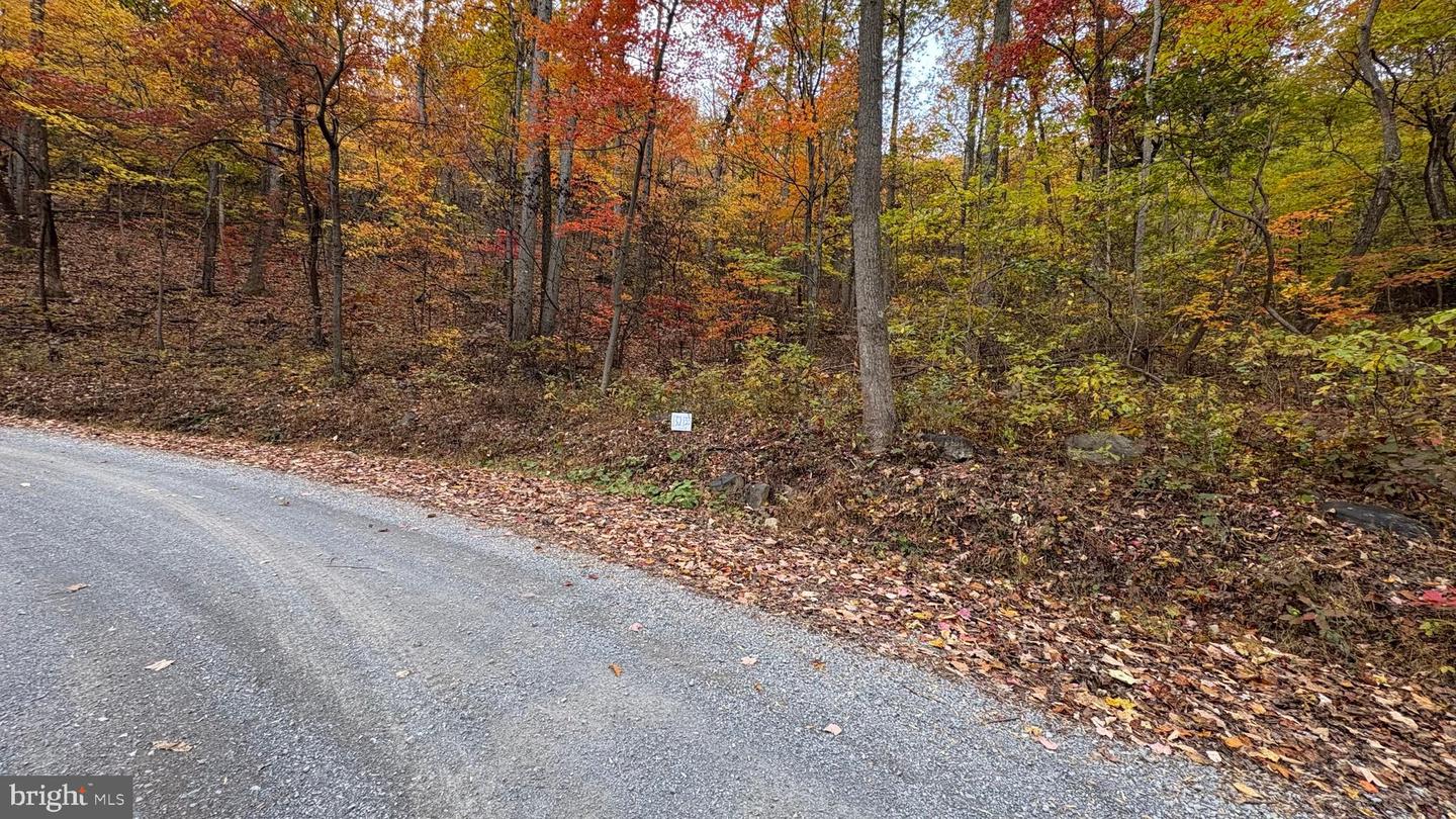 LOT 133 TOMAHAWK TRL, WINCHESTER, Virginia 22602, ,Land,For sale,LOT 133 TOMAHAWK TRL,VAFV2037698 MLS # VAFV2037698 LOT 133 TOMAHAWK TRL, WINCHESTER, Virginia 22602, ,Land,For sale,LOT 133 TOMAHAWK TRL,VAFV2037698 MLS # VAFV2037698