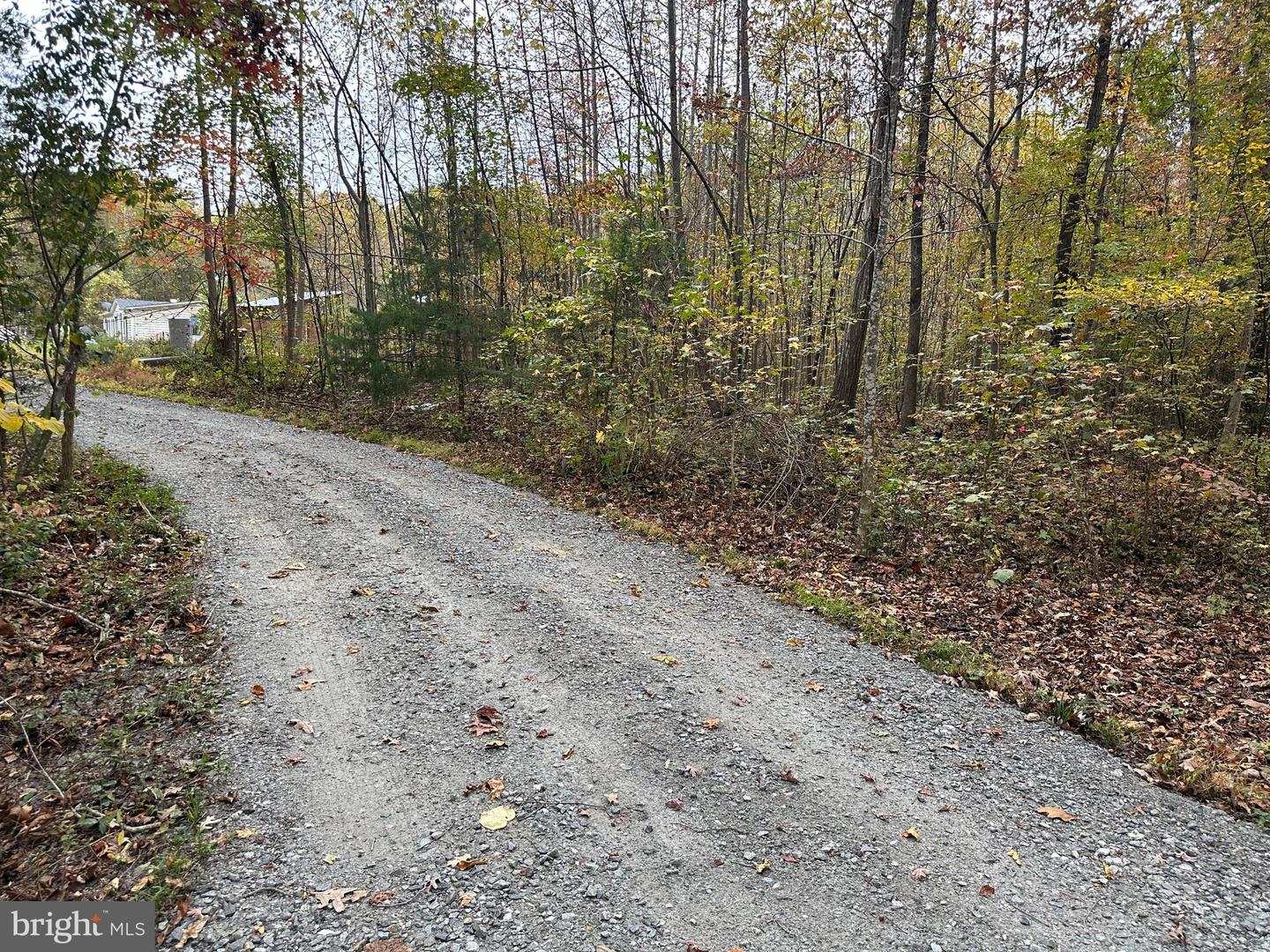 8105 WADE ST, PARTLOW, Virginia 22534, ,Land,For sale,8105 WADE ST,VASP2037214 MLS # VASP2037214 8105 WADE ST, PARTLOW, Virginia 22534, ,Land,For sale,8105 WADE ST,VASP2037214 MLS # VASP2037214