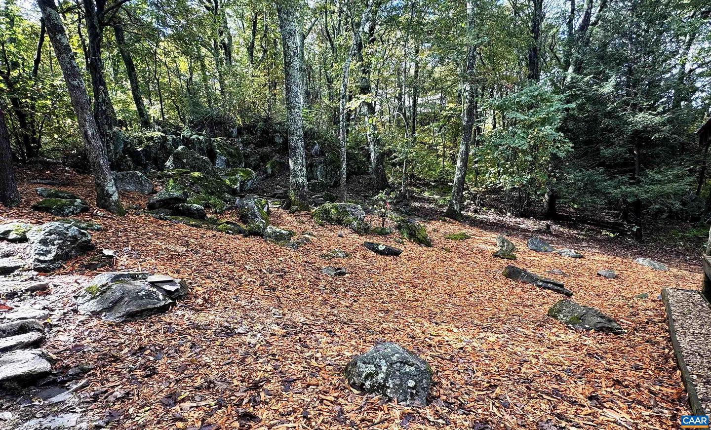 20 BUCKHORN LN, WINTERGREEN RESORT, Virginia 22967, 4 Bedrooms Bedrooms, ,2 BathroomsBathrooms,Residential,For sale,20 BUCKHORN LN,670466 MLS # 670466 20 BUCKHORN LN, WINTERGREEN RESORT, Virginia 22967, 4 Bedrooms Bedrooms, ,2 BathroomsBathrooms,Residential,For sale,20 BUCKHORN LN,670466 MLS # 670466