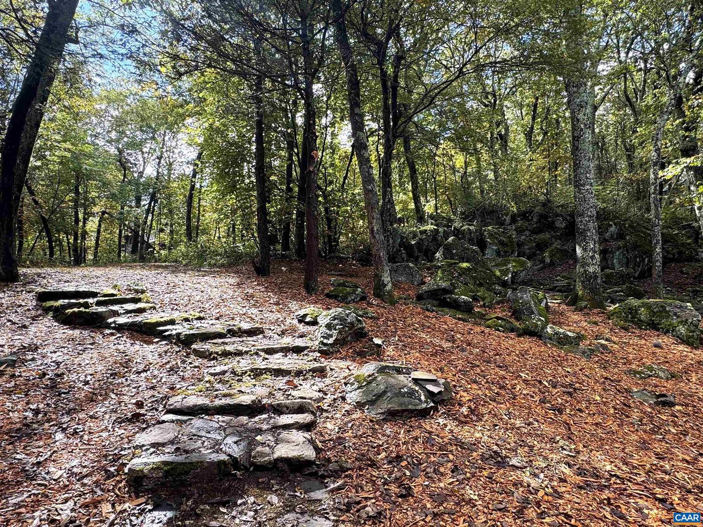 20 BUCKHORN LN, WINTERGREEN RESORT, Virginia 22967, 4 Bedrooms Bedrooms, ,2 BathroomsBathrooms,Residential,For sale,20 BUCKHORN LN,670466 MLS # 670466 20 BUCKHORN LN, WINTERGREEN RESORT, Virginia 22967, 4 Bedrooms Bedrooms, ,2 BathroomsBathrooms,Residential,For sale,20 BUCKHORN LN,670466 MLS # 670466