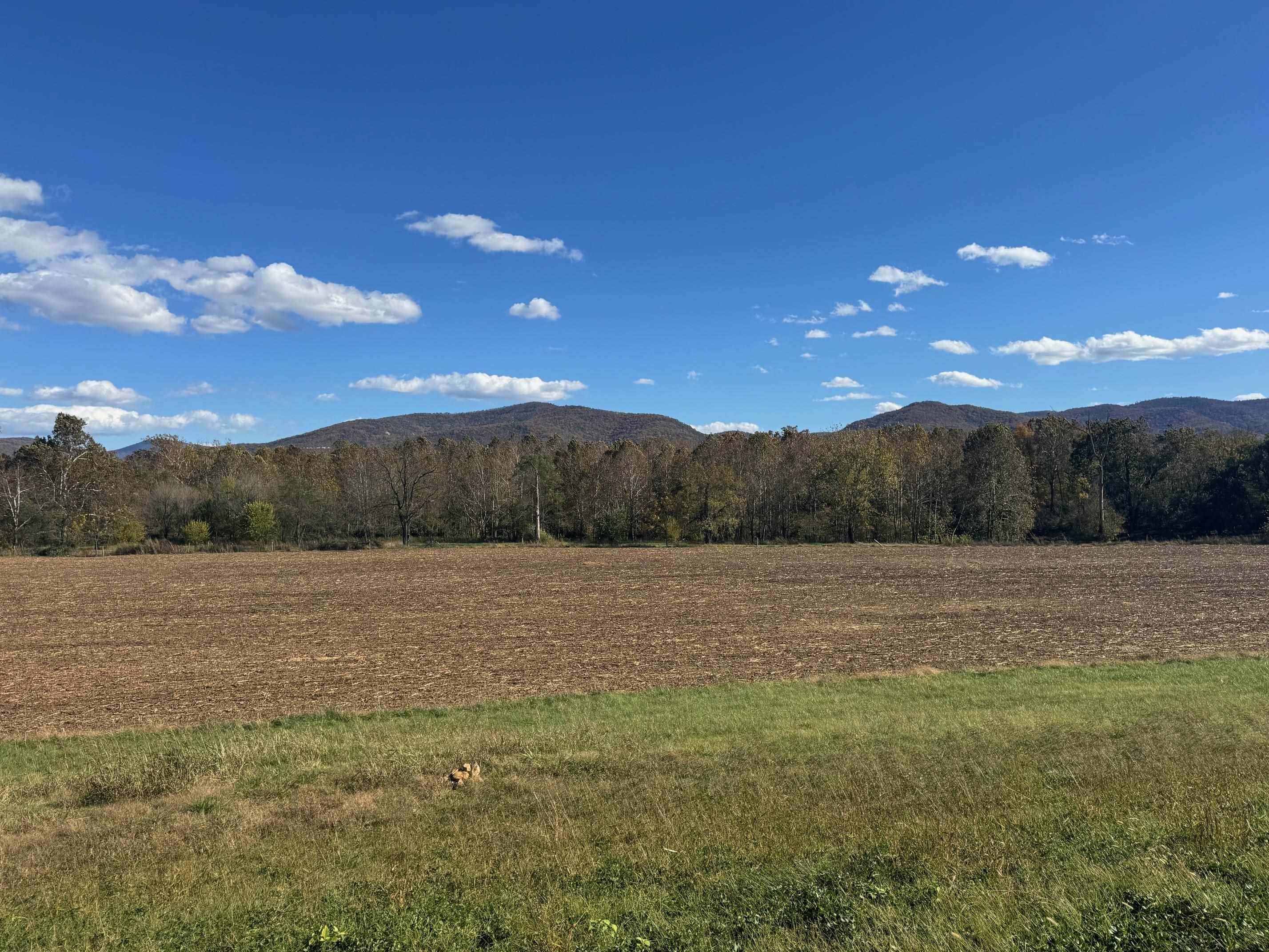 tbd lot 4 ISLAND FORD RD, ELKTON, Virginia 22827, ,Land,tbd lot 4 ISLAND FORD RD,670473 MLS # 670473 tbd lot 4 ISLAND FORD RD, ELKTON, Virginia 22827, ,Land,tbd lot 4 ISLAND FORD RD,670473 MLS # 670473