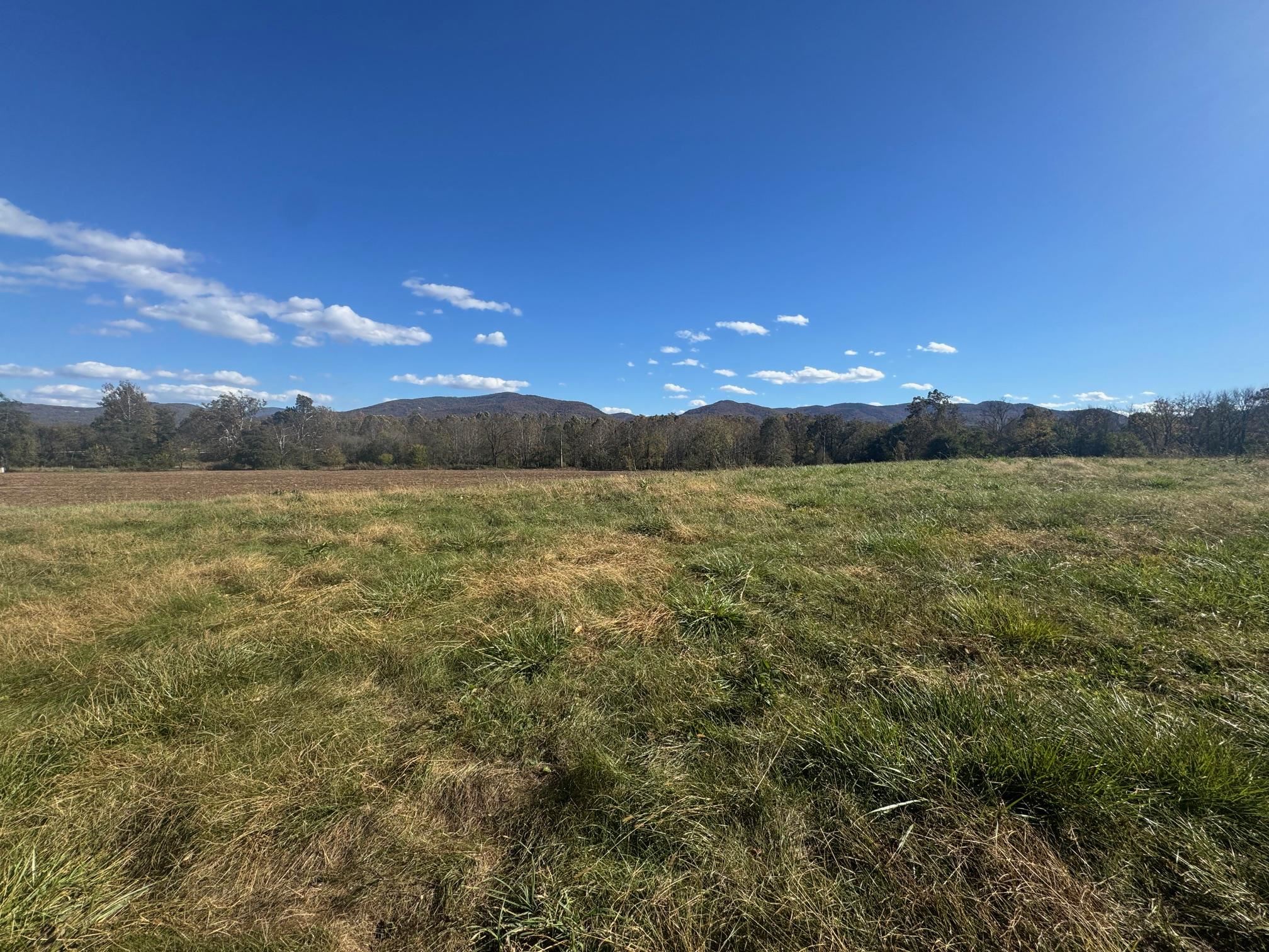 tbd lot 4 ISLAND FORD RD, ELKTON, Virginia 22827, ,Land,tbd lot 4 ISLAND FORD RD,670473 MLS # 670473 tbd lot 4 ISLAND FORD RD, ELKTON, Virginia 22827, ,Land,tbd lot 4 ISLAND FORD RD,670473 MLS # 670473