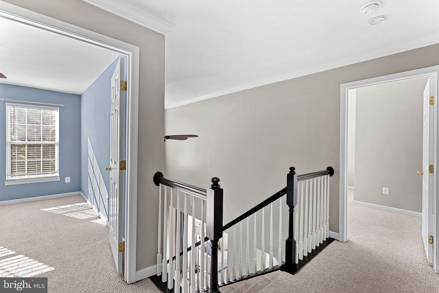 11 STONEBRAKER WAY, LOVETTSVILLE, Virginia 20180, 4 Bedrooms Bedrooms, ,3 BathroomsBathrooms,Residential,For sale,11 STONEBRAKER WAY,VALO2109608 MLS # VALO2109608 11 STONEBRAKER WAY, LOVETTSVILLE, Virginia 20180, 4 Bedrooms Bedrooms, ,3 BathroomsBathrooms,Residential,For sale,11 STONEBRAKER WAY,VALO2109608 MLS # VALO2109608