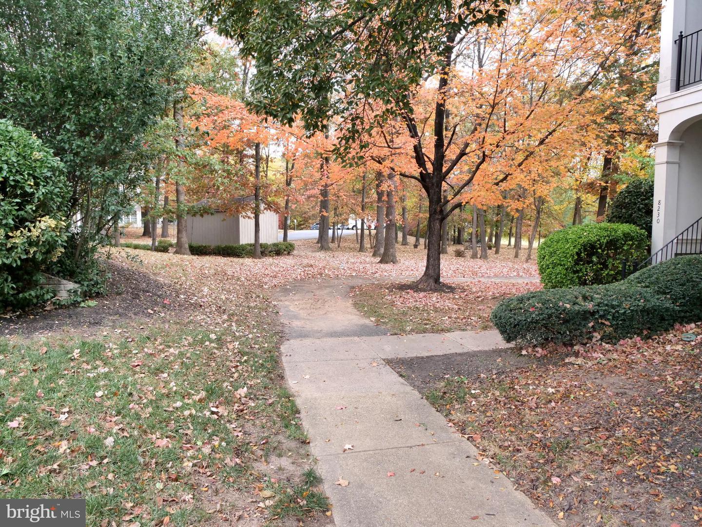 8234 WINSTEAD PL #101, MANASSAS, Virginia 20109, 2 Bedrooms Bedrooms, ,2 BathroomsBathrooms,Residential,For sale,8234 WINSTEAD PL #101,VAPW2106608 MLS # VAPW2106608 8234 WINSTEAD PL #101, MANASSAS, Virginia 20109, 2 Bedrooms Bedrooms, ,2 BathroomsBathrooms,Residential,For sale,8234 WINSTEAD PL #101,VAPW2106608 MLS # VAPW2106608