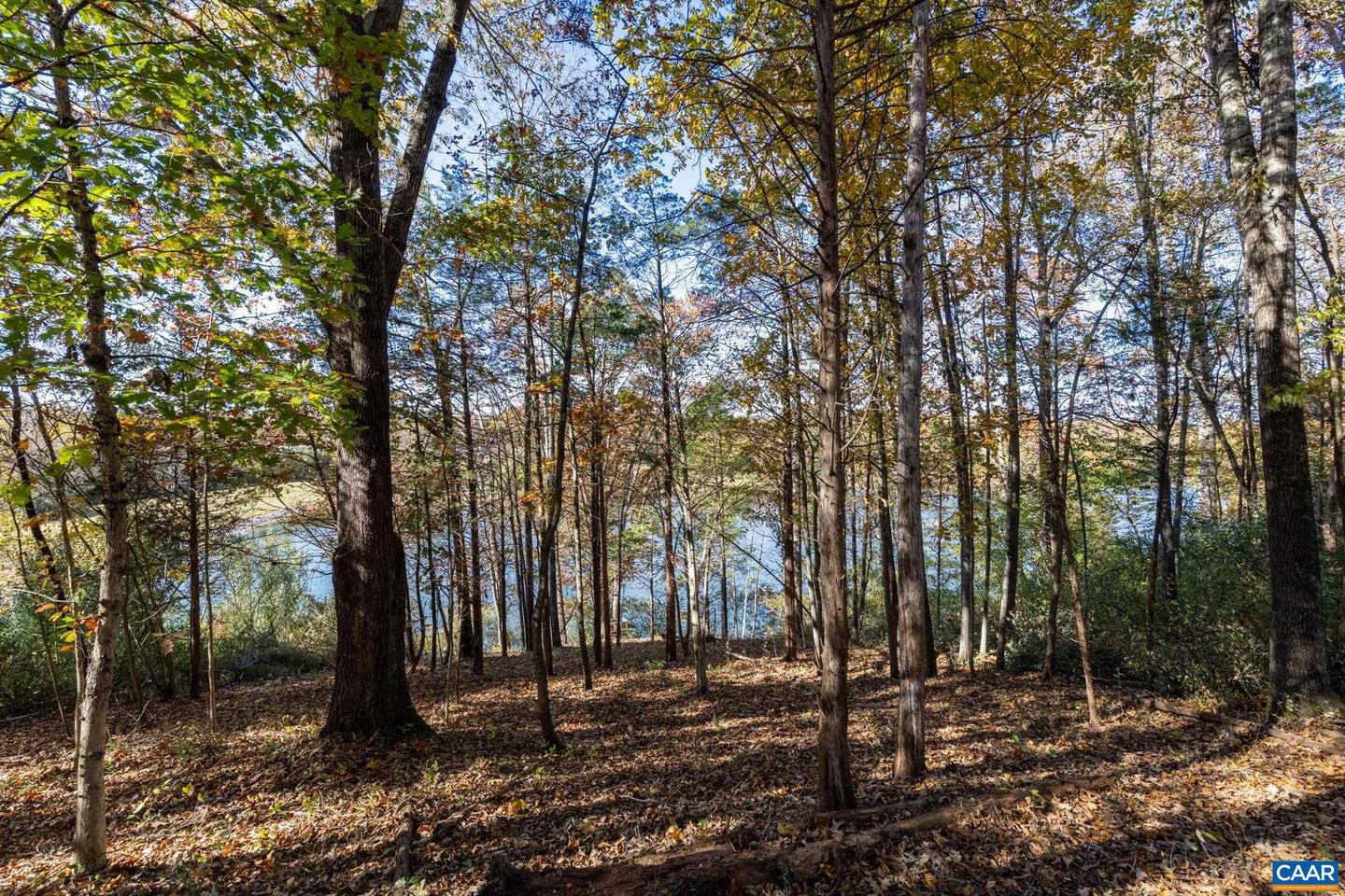 736 JONQUIL RD, RUCKERSVILLE, Virginia 22968, 3 Bedrooms Bedrooms, ,2 BathroomsBathrooms,Residential,For sale,736 JONQUIL RD,670478 MLS # 670478 736 JONQUIL RD, RUCKERSVILLE, Virginia 22968, 3 Bedrooms Bedrooms, ,2 BathroomsBathrooms,Residential,For sale,736 JONQUIL RD,670478 MLS # 670478