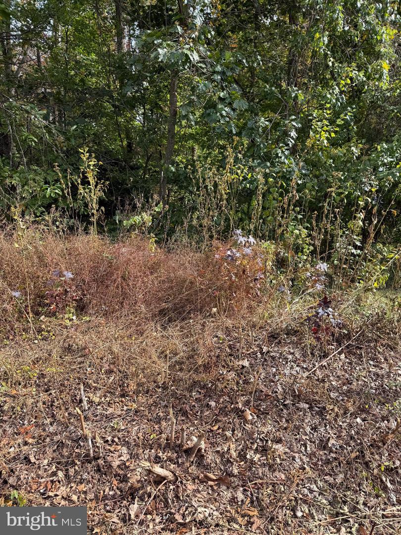 LOT 41 TRAVELLERS CIRCLE, MONTROSS, Virginia 22520, ,Land,For sale,LOT 41 TRAVELLERS CIRCLE,VAWE2010034 MLS # VAWE2010034 LOT 41 TRAVELLERS CIRCLE, MONTROSS, Virginia 22520, ,Land,For sale,LOT 41 TRAVELLERS CIRCLE,VAWE2010034 MLS # VAWE2010034