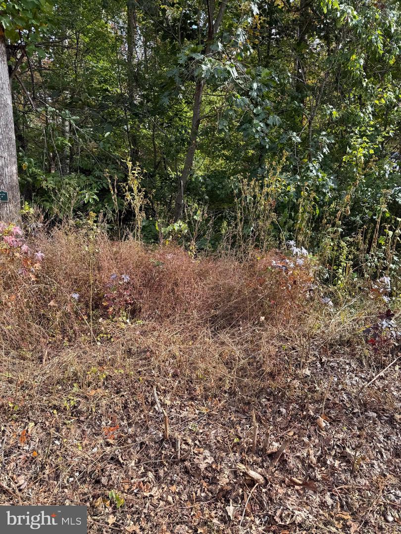 LOT 41 TRAVELLERS CIRCLE, MONTROSS, Virginia 22520, ,Land,For sale,LOT 41 TRAVELLERS CIRCLE,VAWE2010034 MLS # VAWE2010034 LOT 41 TRAVELLERS CIRCLE, MONTROSS, Virginia 22520, ,Land,For sale,LOT 41 TRAVELLERS CIRCLE,VAWE2010034 MLS # VAWE2010034