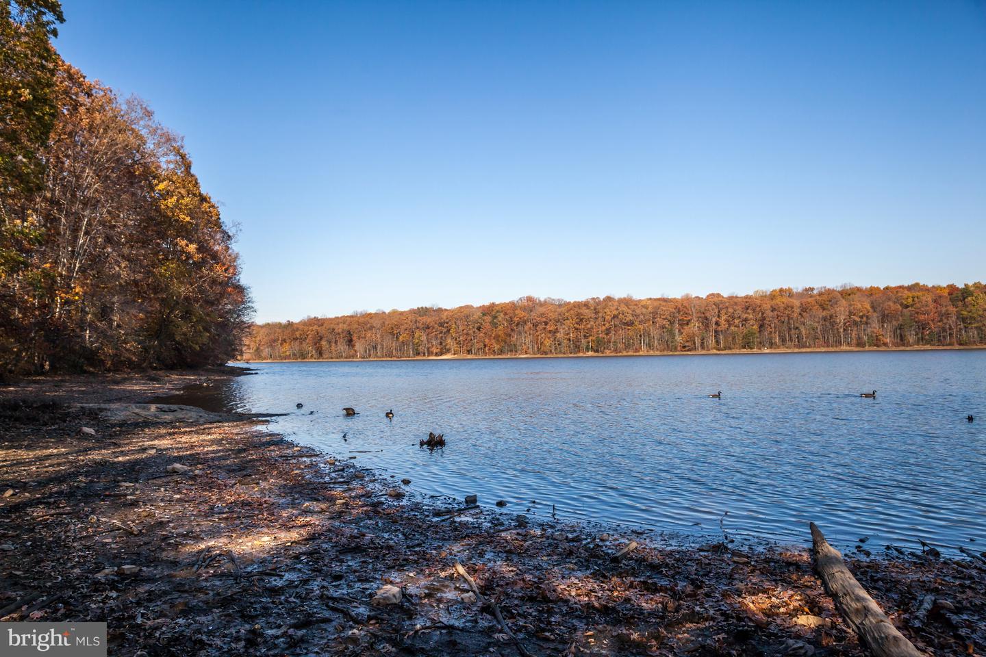 9515 DEBRA SPRADLIN CT, BURKE, Virginia 22015, 4 Bedrooms Bedrooms, ,2 BathroomsBathrooms,Residential,For sale,9515 DEBRA SPRADLIN CT,VAFX2276280 MLS # VAFX2276280 9515 DEBRA SPRADLIN CT, BURKE, Virginia 22015, 4 Bedrooms Bedrooms, ,2 BathroomsBathrooms,Residential,For sale,9515 DEBRA SPRADLIN CT,VAFX2276280 MLS # VAFX2276280