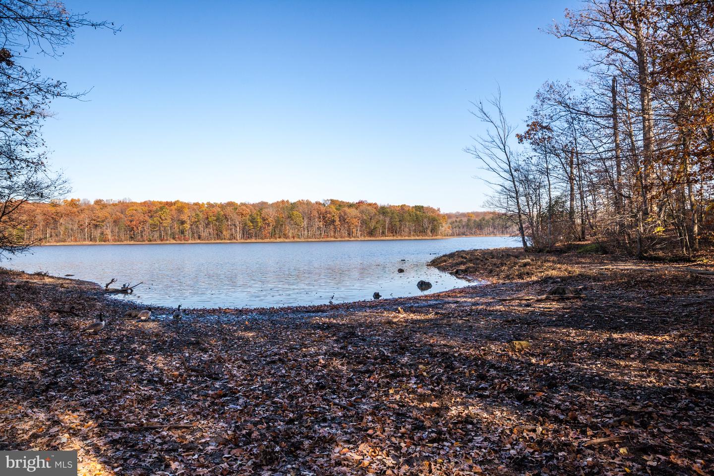 9515 DEBRA SPRADLIN CT, BURKE, Virginia 22015, 4 Bedrooms Bedrooms, ,2 BathroomsBathrooms,Residential,For sale,9515 DEBRA SPRADLIN CT,VAFX2276280 MLS # VAFX2276280 9515 DEBRA SPRADLIN CT, BURKE, Virginia 22015, 4 Bedrooms Bedrooms, ,2 BathroomsBathrooms,Residential,For sale,9515 DEBRA SPRADLIN CT,VAFX2276280 MLS # VAFX2276280