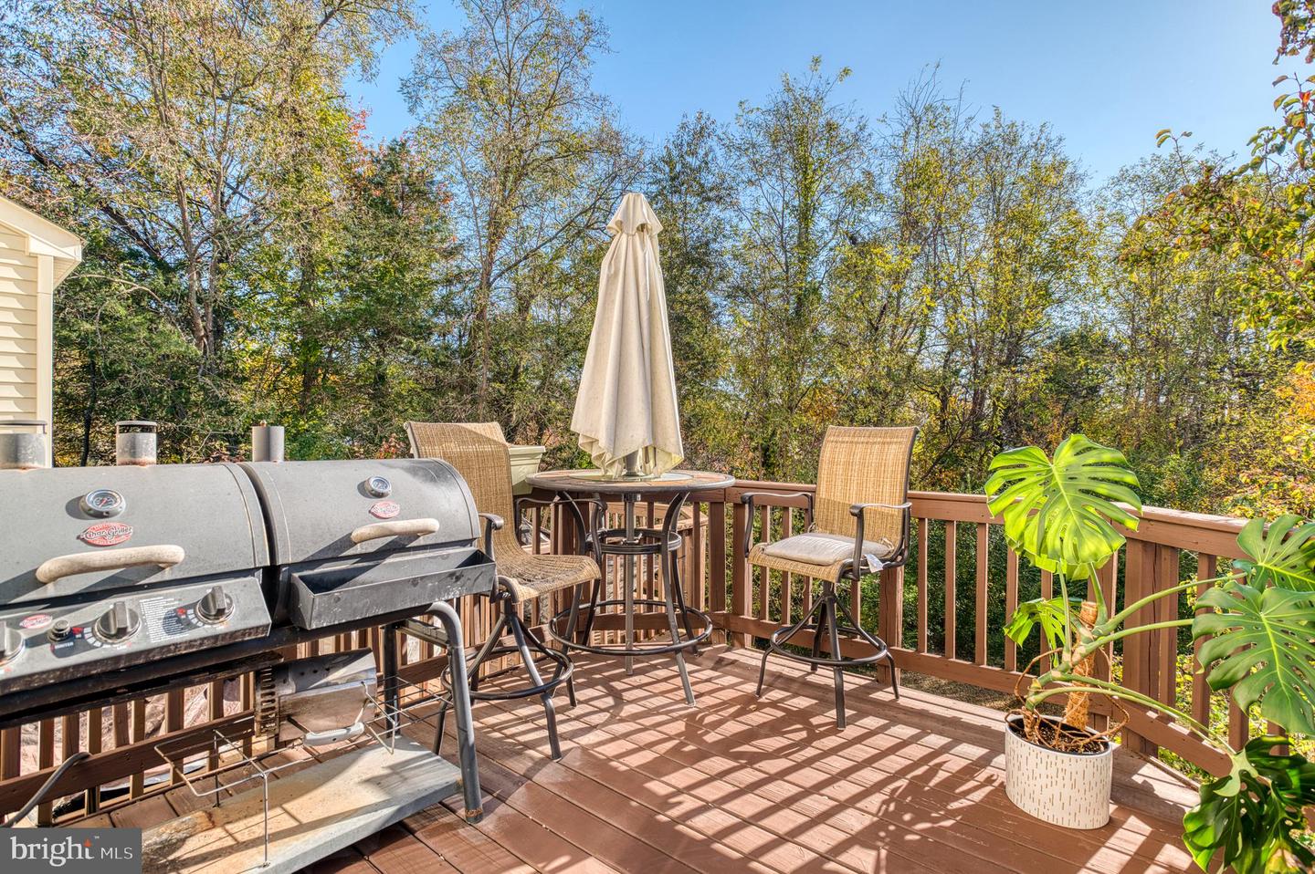 823 PERSIMMON PL, CULPEPER, Virginia 22701, ,Residential,For sale,823 PERSIMMON PL,VACU2011938 MLS # VACU2011938 823 PERSIMMON PL, CULPEPER, Virginia 22701, ,Residential,For sale,823 PERSIMMON PL,VACU2011938 MLS # VACU2011938