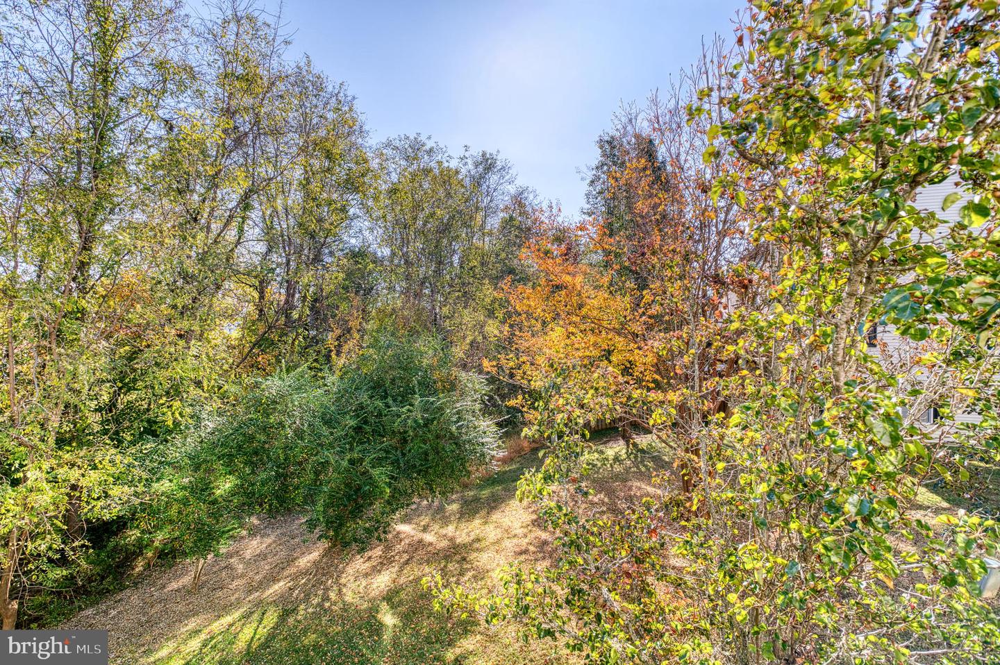 823 PERSIMMON PL, CULPEPER, Virginia 22701, ,Residential,For sale,823 PERSIMMON PL,VACU2011938 MLS # VACU2011938 823 PERSIMMON PL, CULPEPER, Virginia 22701, ,Residential,For sale,823 PERSIMMON PL,VACU2011938 MLS # VACU2011938