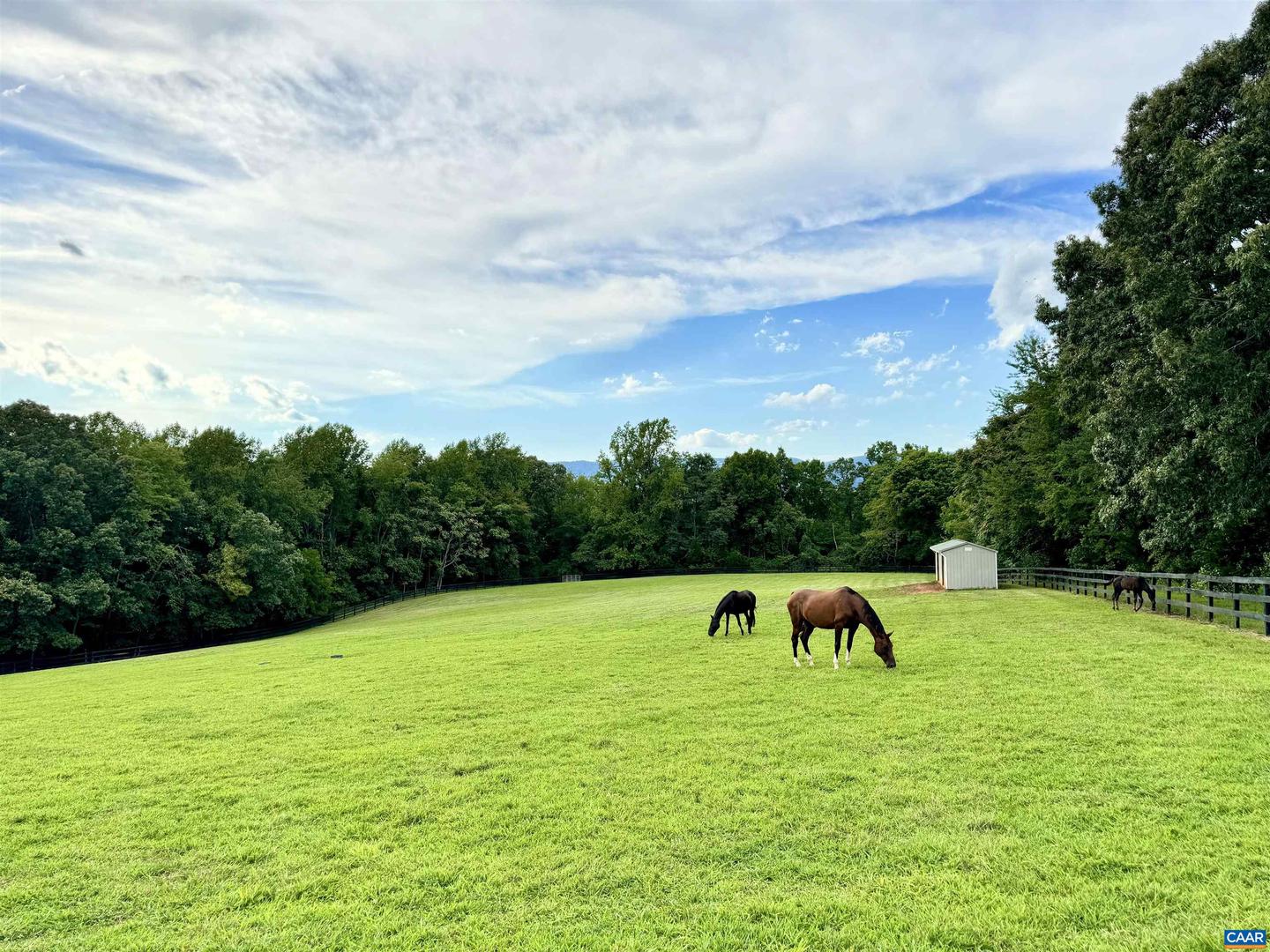 2236 CRAIGS STORE RD, AFTON, Virginia 22920, 4 Bedrooms Bedrooms, ,4 BathroomsBathrooms,Residential,For sale,2236 CRAIGS STORE RD,670479 MLS # 670479
