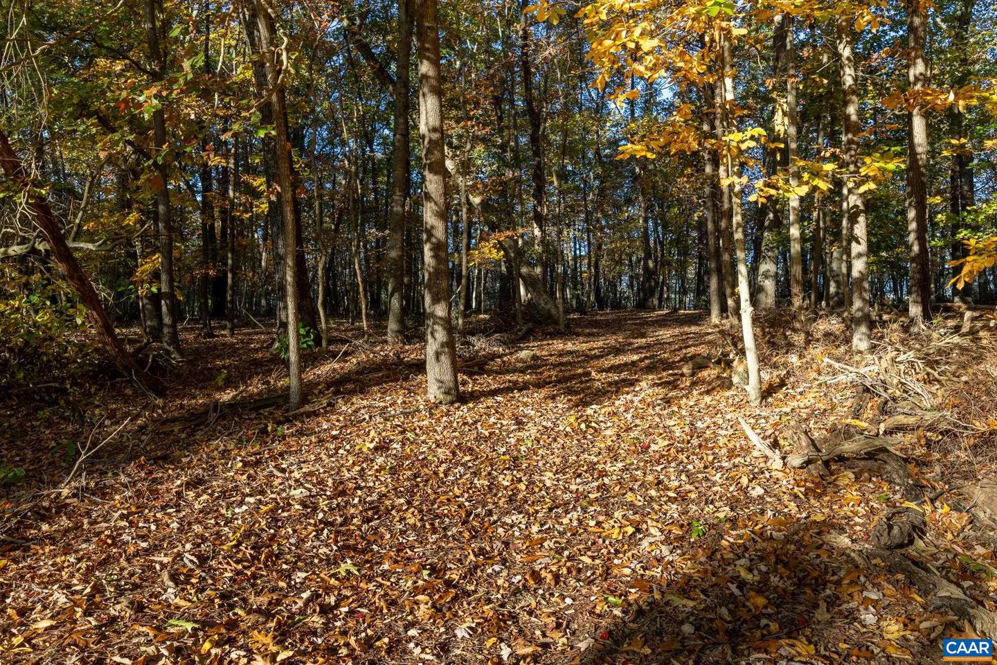 632 BREMO BLUFF RD, BREMO BLUFF, Virginia 23022, 3 Bedrooms Bedrooms, ,2 BathroomsBathrooms,Residential,For sale,632 BREMO BLUFF RD,670483 MLS # 670483 632 BREMO BLUFF RD, BREMO BLUFF, Virginia 23022, 3 Bedrooms Bedrooms, ,2 BathroomsBathrooms,Residential,For sale,632 BREMO BLUFF RD,670483 MLS # 670483