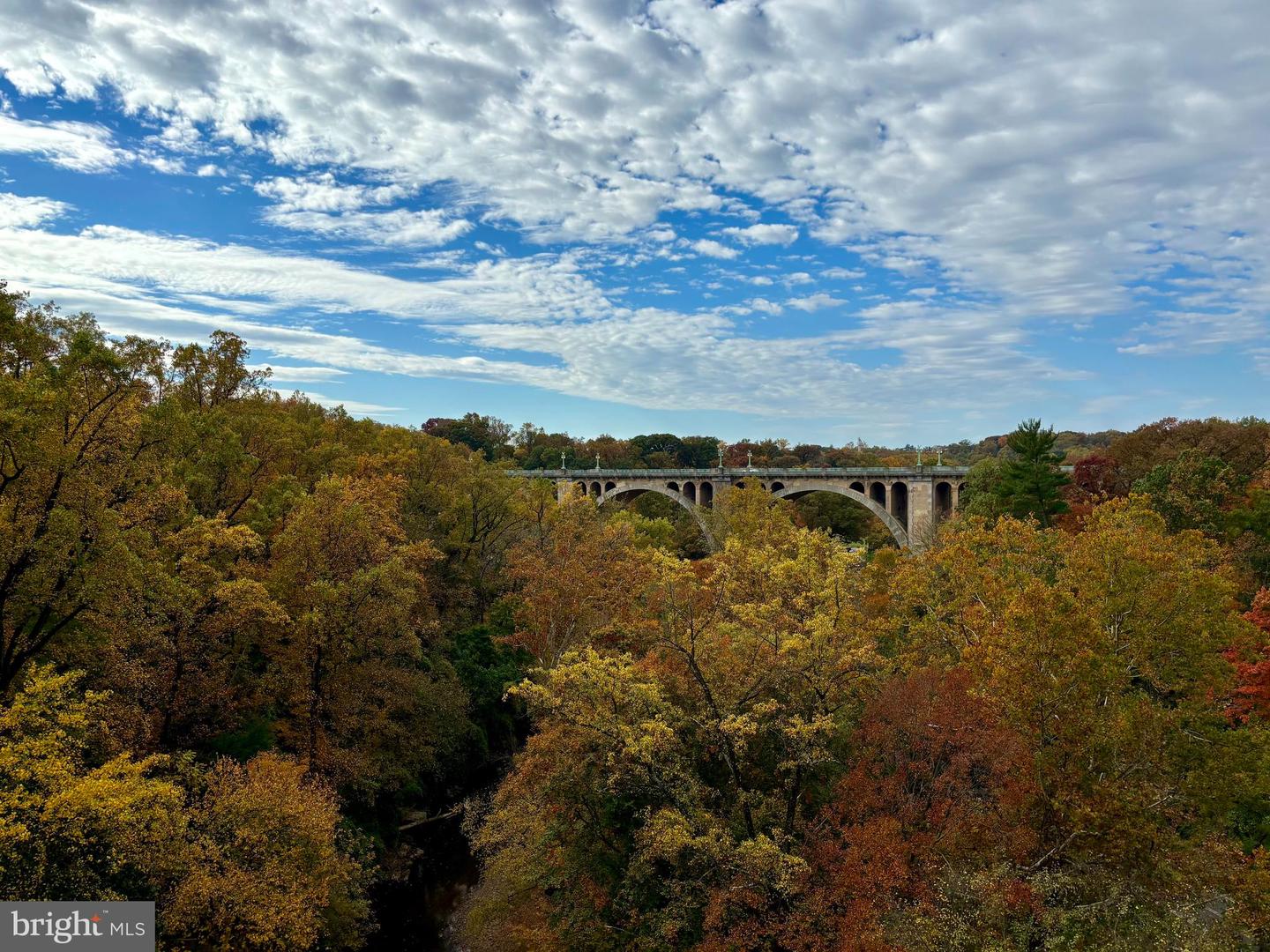 2707 ADAMS MILL RD NW #101, WASHINGTON, District Of Columbia 20009, 2 Bedrooms Bedrooms, ,1 BathroomBathrooms,Residential,For sale,2707 ADAMS MILL RD NW #101,DCDC2229280 MLS # DCDC2229280 2707 ADAMS MILL RD NW #101, WASHINGTON, District Of Columbia 20009, 2 Bedrooms Bedrooms, ,1 BathroomBathrooms,Residential,For sale,2707 ADAMS MILL RD NW #101,DCDC2229280 MLS # DCDC2229280