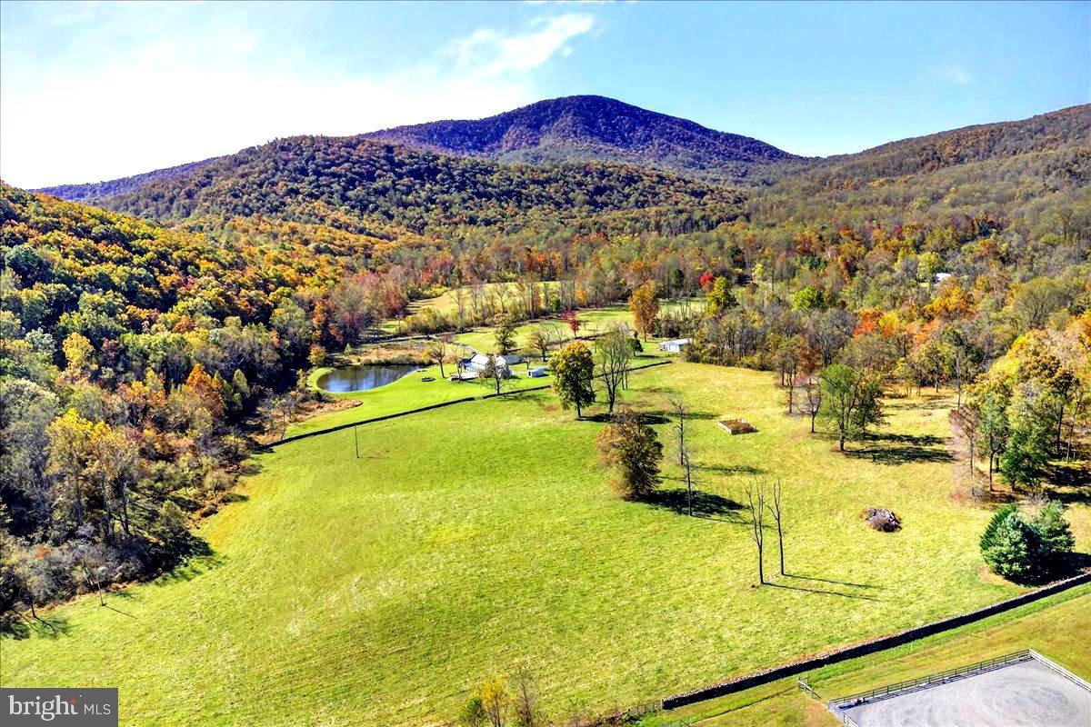 290 RILEY HOLLOW RD, HUNTLY, Virginia 22640, 3 Bedrooms Bedrooms, ,3 BathroomsBathrooms,Farm,For sale,290 RILEY HOLLOW RD,VARP2002364 MLS # VARP2002364 290 RILEY HOLLOW RD, HUNTLY, Virginia 22640, 3 Bedrooms Bedrooms, ,3 BathroomsBathrooms,Farm,For sale,290 RILEY HOLLOW RD,VARP2002364 MLS # VARP2002364