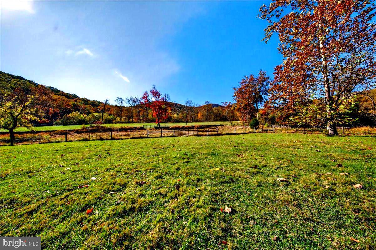 290 RILEY HOLLOW RD, HUNTLY, Virginia 22640, 3 Bedrooms Bedrooms, ,3 BathroomsBathrooms,Farm,For sale,290 RILEY HOLLOW RD,VARP2002364 MLS # VARP2002364 290 RILEY HOLLOW RD, HUNTLY, Virginia 22640, 3 Bedrooms Bedrooms, ,3 BathroomsBathrooms,Farm,For sale,290 RILEY HOLLOW RD,VARP2002364 MLS # VARP2002364