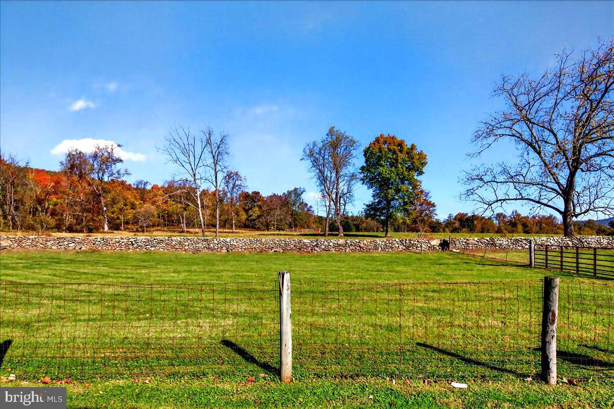 290 RILEY HOLLOW RD, HUNTLY, Virginia 22640, 3 Bedrooms Bedrooms, ,3 BathroomsBathrooms,Farm,For sale,290 RILEY HOLLOW RD,VARP2002364 MLS # VARP2002364 290 RILEY HOLLOW RD, HUNTLY, Virginia 22640, 3 Bedrooms Bedrooms, ,3 BathroomsBathrooms,Farm,For sale,290 RILEY HOLLOW RD,VARP2002364 MLS # VARP2002364