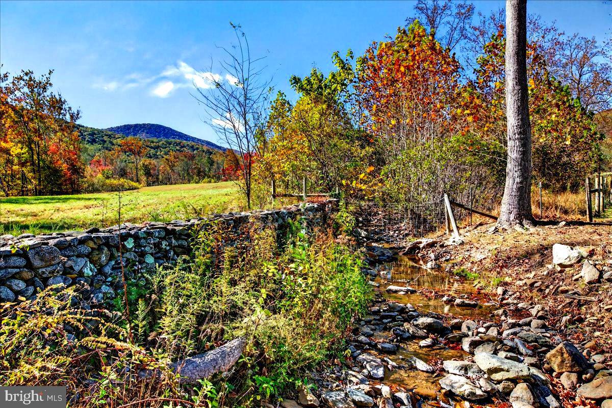 290 RILEY HOLLOW RD, HUNTLY, Virginia 22640, 3 Bedrooms Bedrooms, ,3 BathroomsBathrooms,Farm,For sale,290 RILEY HOLLOW RD,VARP2002364 MLS # VARP2002364 290 RILEY HOLLOW RD, HUNTLY, Virginia 22640, 3 Bedrooms Bedrooms, ,3 BathroomsBathrooms,Farm,For sale,290 RILEY HOLLOW RD,VARP2002364 MLS # VARP2002364