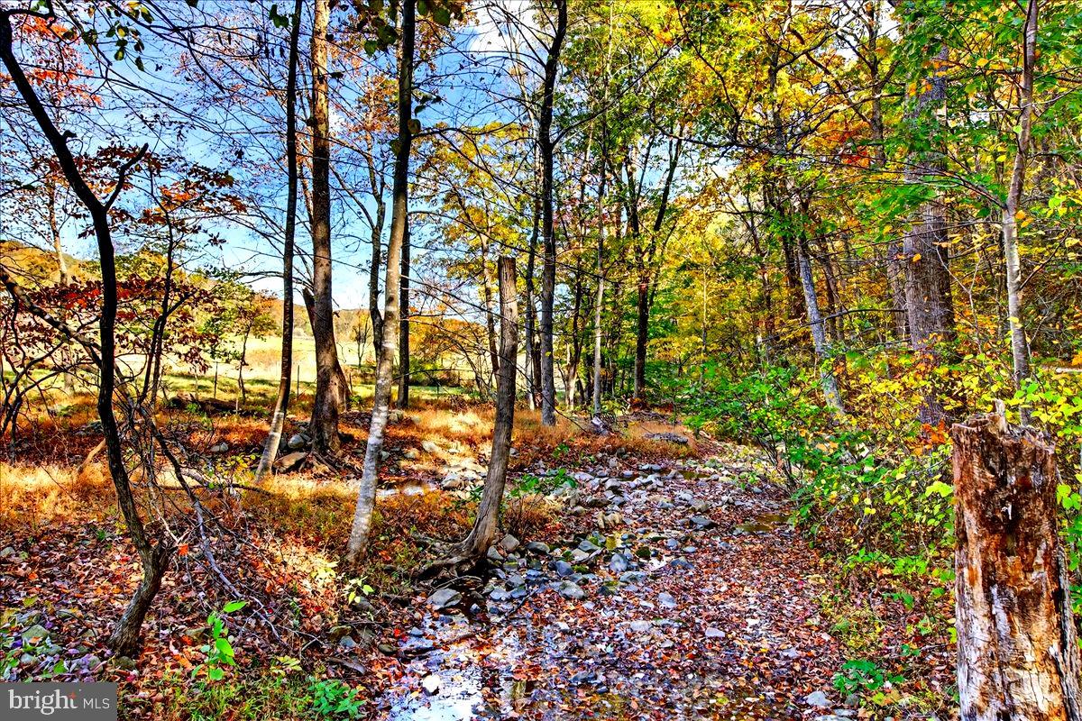 290 RILEY HOLLOW RD, HUNTLY, Virginia 22640, 3 Bedrooms Bedrooms, ,3 BathroomsBathrooms,Farm,For sale,290 RILEY HOLLOW RD,VARP2002364 MLS # VARP2002364 290 RILEY HOLLOW RD, HUNTLY, Virginia 22640, 3 Bedrooms Bedrooms, ,3 BathroomsBathrooms,Farm,For sale,290 RILEY HOLLOW RD,VARP2002364 MLS # VARP2002364