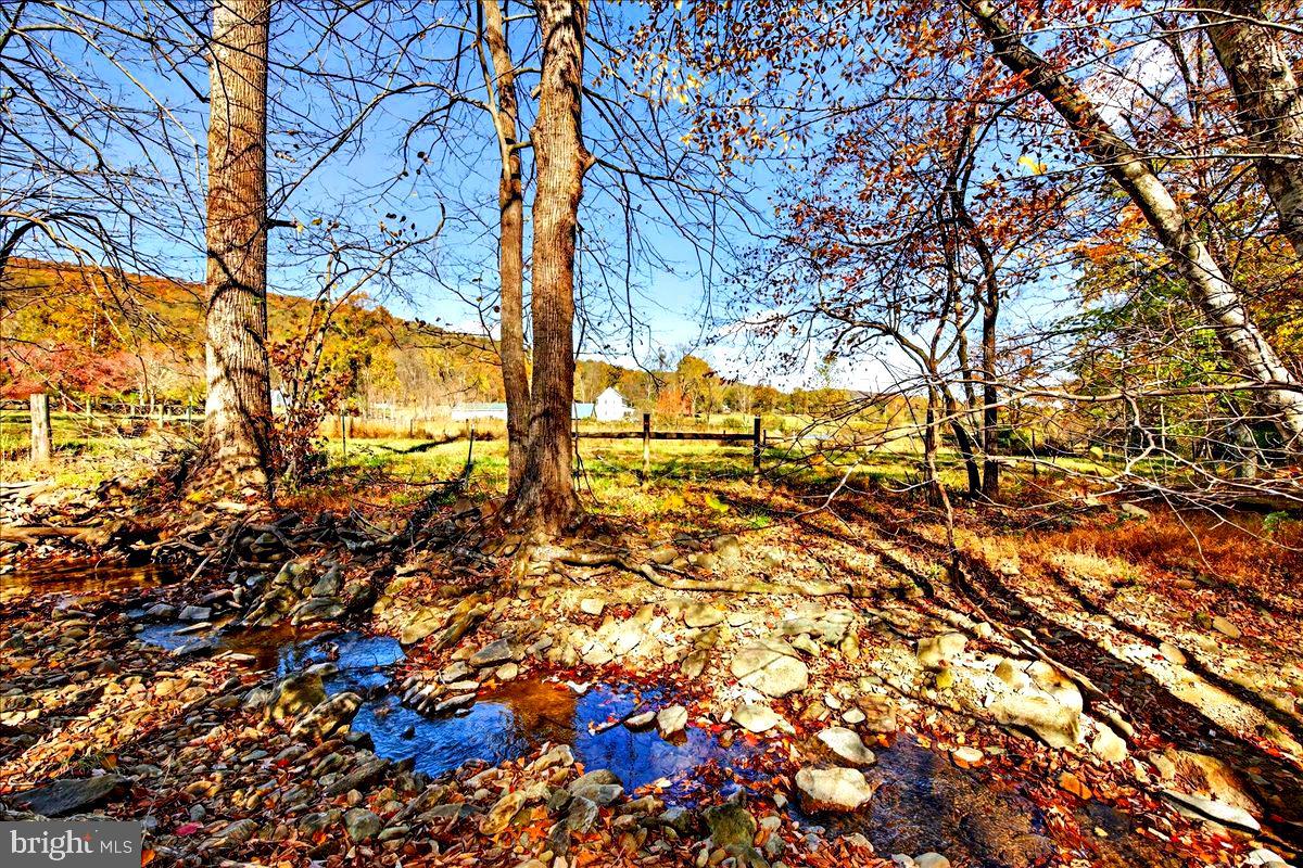 290 RILEY HOLLOW RD, HUNTLY, Virginia 22640, 3 Bedrooms Bedrooms, ,3 BathroomsBathrooms,Farm,For sale,290 RILEY HOLLOW RD,VARP2002364 MLS # VARP2002364 290 RILEY HOLLOW RD, HUNTLY, Virginia 22640, 3 Bedrooms Bedrooms, ,3 BathroomsBathrooms,Farm,For sale,290 RILEY HOLLOW RD,VARP2002364 MLS # VARP2002364