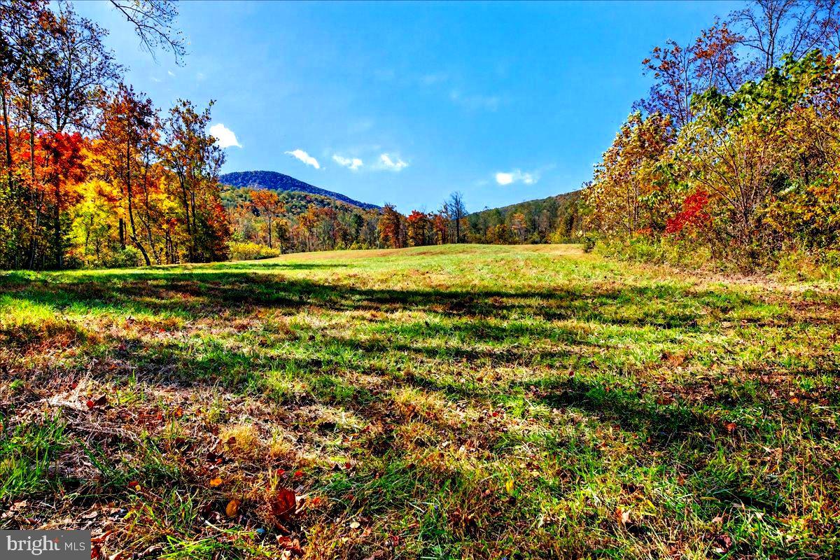 290 RILEY HOLLOW RD, HUNTLY, Virginia 22640, 3 Bedrooms Bedrooms, ,3 BathroomsBathrooms,Farm,For sale,290 RILEY HOLLOW RD,VARP2002364 MLS # VARP2002364 290 RILEY HOLLOW RD, HUNTLY, Virginia 22640, 3 Bedrooms Bedrooms, ,3 BathroomsBathrooms,Farm,For sale,290 RILEY HOLLOW RD,VARP2002364 MLS # VARP2002364