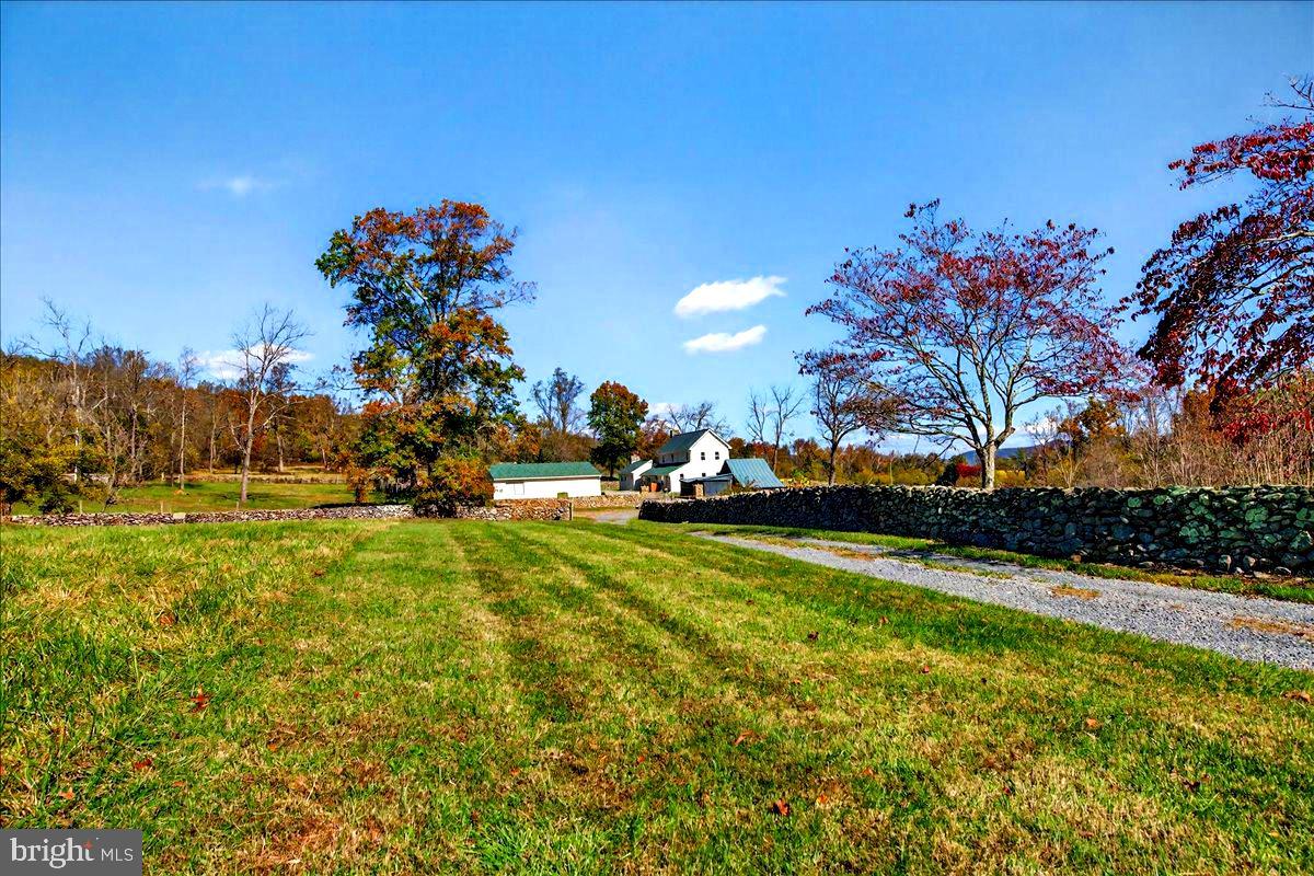 290 RILEY HOLLOW RD, HUNTLY, Virginia 22640, 3 Bedrooms Bedrooms, ,3 BathroomsBathrooms,Farm,For sale,290 RILEY HOLLOW RD,VARP2002364 MLS # VARP2002364 290 RILEY HOLLOW RD, HUNTLY, Virginia 22640, 3 Bedrooms Bedrooms, ,3 BathroomsBathrooms,Farm,For sale,290 RILEY HOLLOW RD,VARP2002364 MLS # VARP2002364