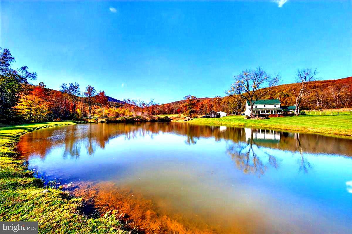 290 RILEY HOLLOW RD, HUNTLY, Virginia 22640, 3 Bedrooms Bedrooms, ,3 BathroomsBathrooms,Farm,For sale,290 RILEY HOLLOW RD,VARP2002364 MLS # VARP2002364 290 RILEY HOLLOW RD, HUNTLY, Virginia 22640, 3 Bedrooms Bedrooms, ,3 BathroomsBathrooms,Farm,For sale,290 RILEY HOLLOW RD,VARP2002364 MLS # VARP2002364