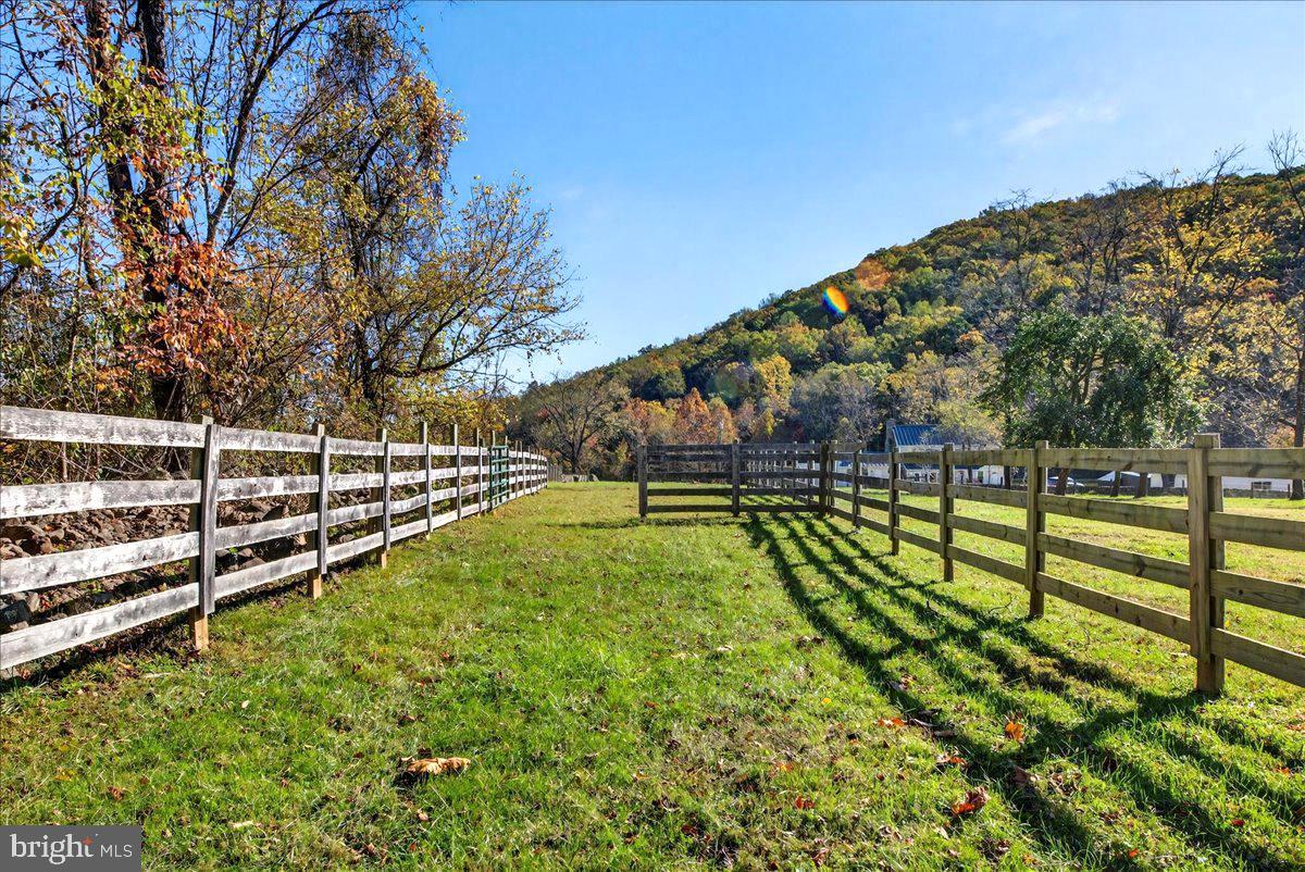 290 RILEY HOLLOW RD, HUNTLY, Virginia 22640, 3 Bedrooms Bedrooms, ,3 BathroomsBathrooms,Farm,For sale,290 RILEY HOLLOW RD,VARP2002364 MLS # VARP2002364 290 RILEY HOLLOW RD, HUNTLY, Virginia 22640, 3 Bedrooms Bedrooms, ,3 BathroomsBathrooms,Farm,For sale,290 RILEY HOLLOW RD,VARP2002364 MLS # VARP2002364