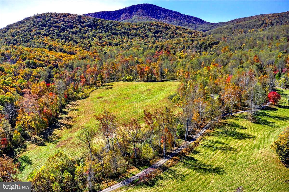 290 RILEY HOLLOW RD, HUNTLY, Virginia 22640, 3 Bedrooms Bedrooms, ,3 BathroomsBathrooms,Farm,For sale,290 RILEY HOLLOW RD,VARP2002364 MLS # VARP2002364 290 RILEY HOLLOW RD, HUNTLY, Virginia 22640, 3 Bedrooms Bedrooms, ,3 BathroomsBathrooms,Farm,For sale,290 RILEY HOLLOW RD,VARP2002364 MLS # VARP2002364