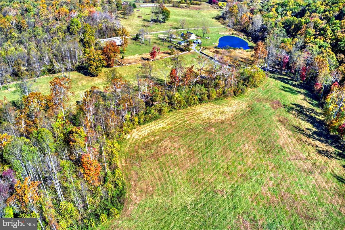 290 RILEY HOLLOW RD, HUNTLY, Virginia 22640, 3 Bedrooms Bedrooms, ,3 BathroomsBathrooms,Farm,For sale,290 RILEY HOLLOW RD,VARP2002364 MLS # VARP2002364 290 RILEY HOLLOW RD, HUNTLY, Virginia 22640, 3 Bedrooms Bedrooms, ,3 BathroomsBathrooms,Farm,For sale,290 RILEY HOLLOW RD,VARP2002364 MLS # VARP2002364